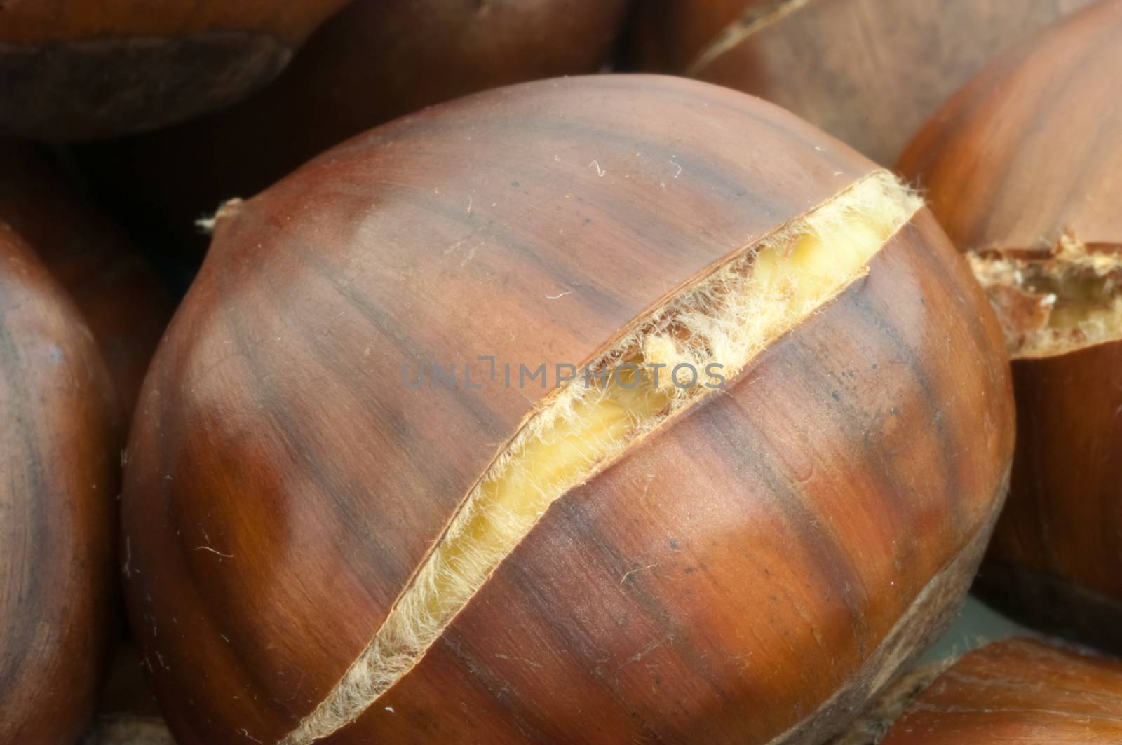 raw natural macro of cooked chestnuts in studio