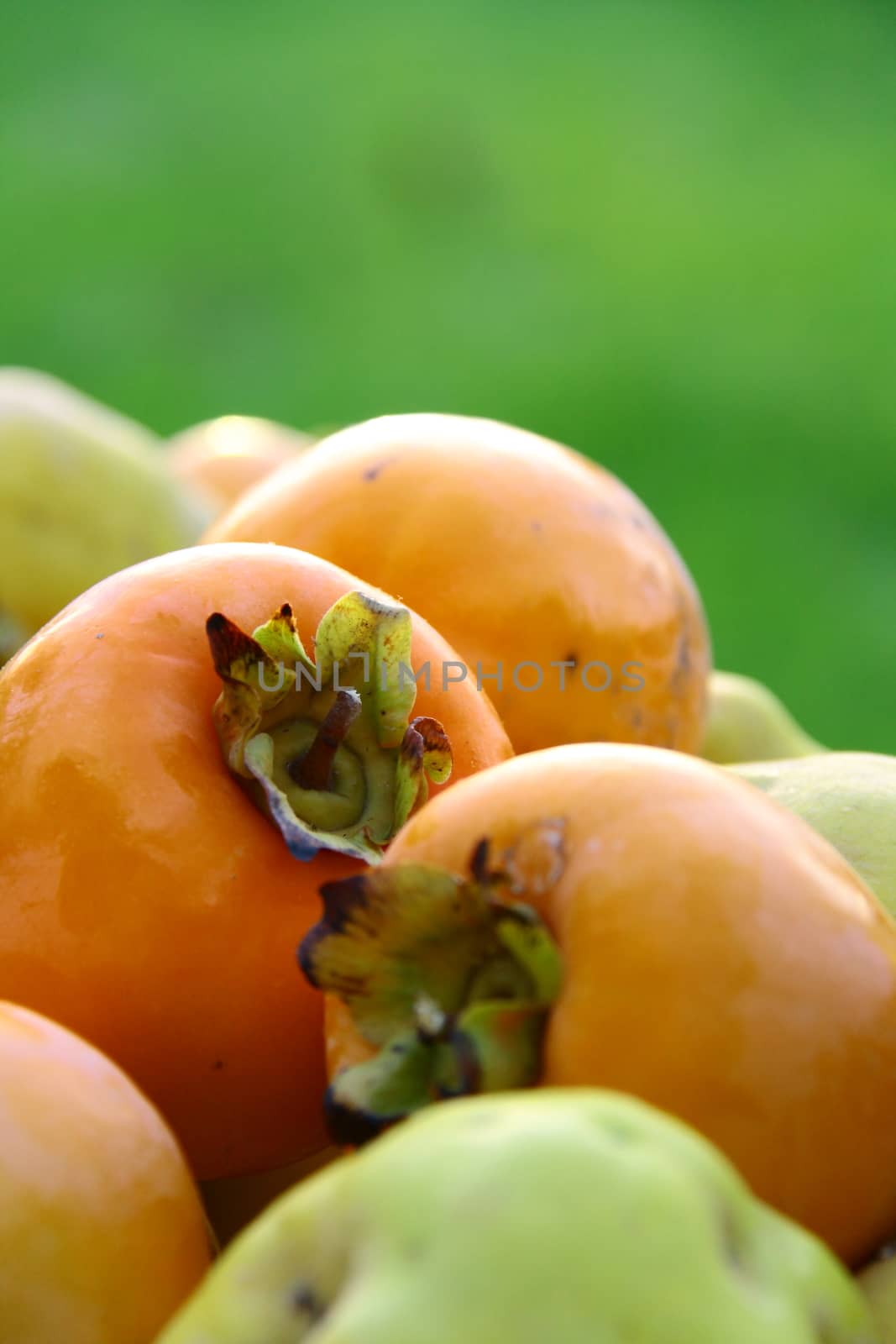 fresh persimmon and quince on green bakground by mturhanlar