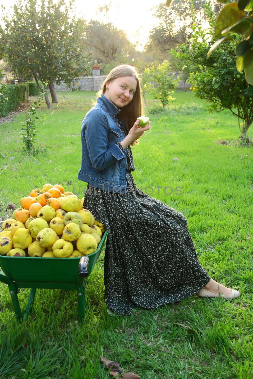 beautiful girl collecting fresh fruit by mturhanlar