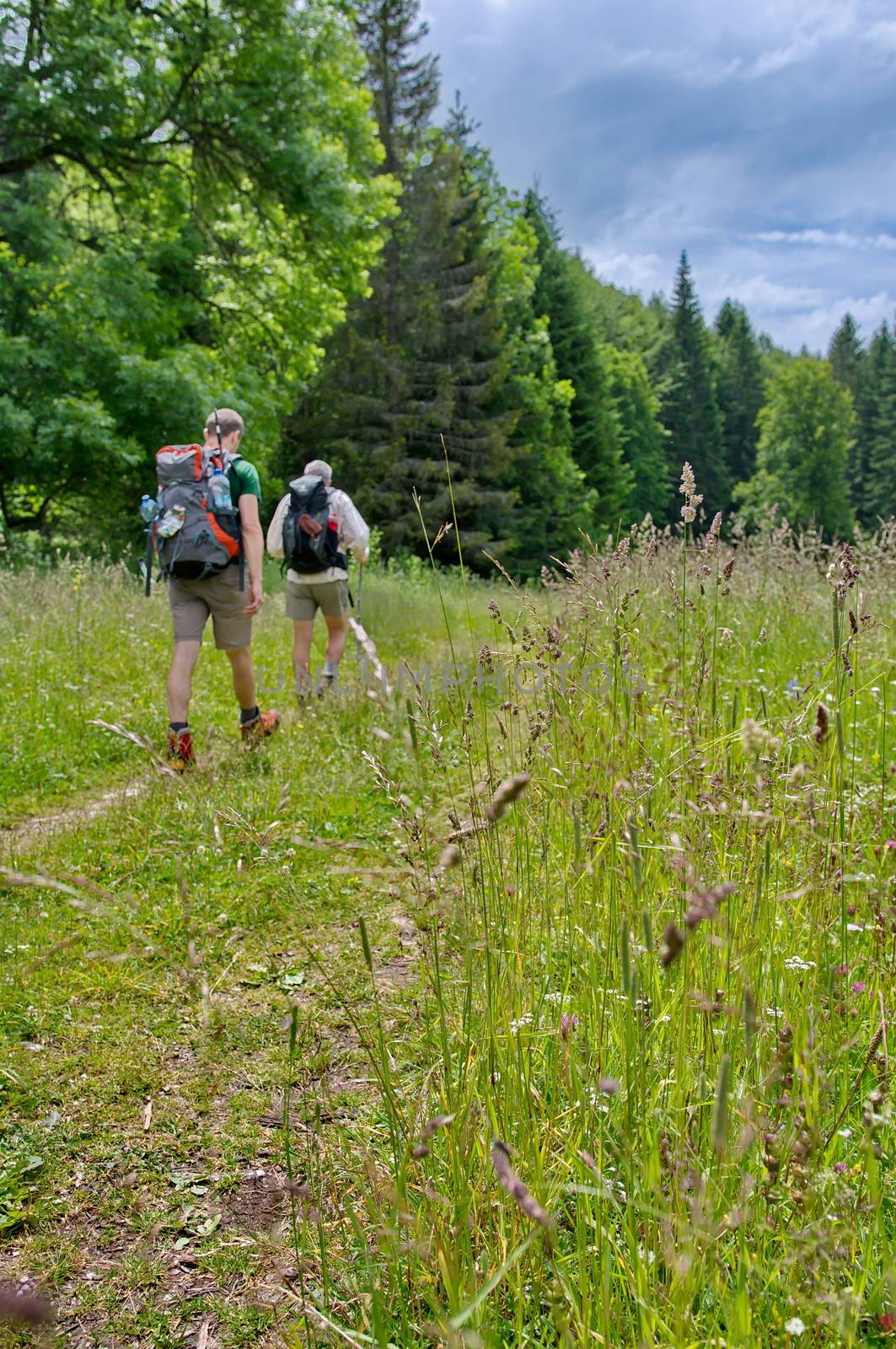 Hikers in the forrest by anderm