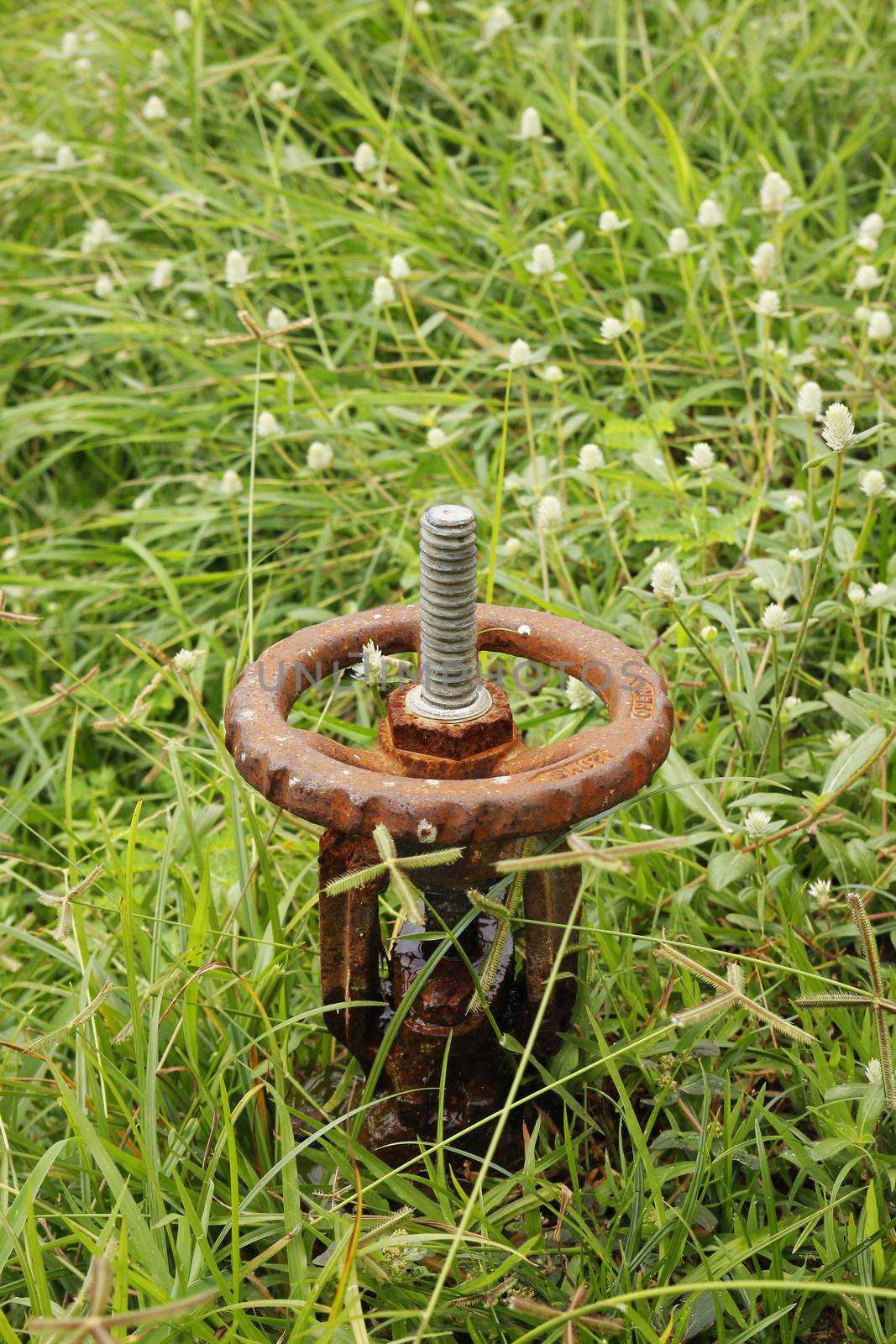 Water pipe with valve in a green field