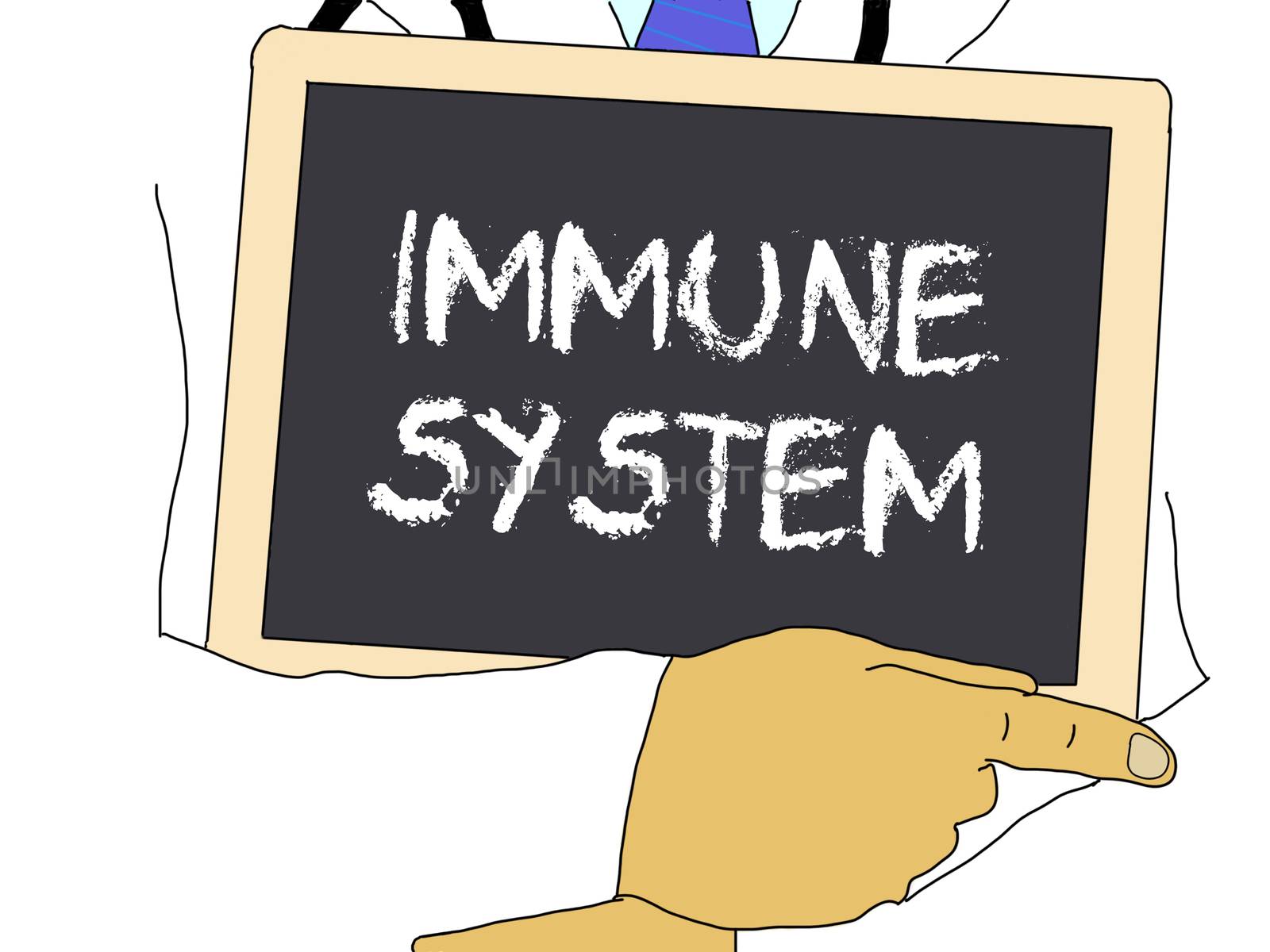 Illustration: Doctor shows information: immune system