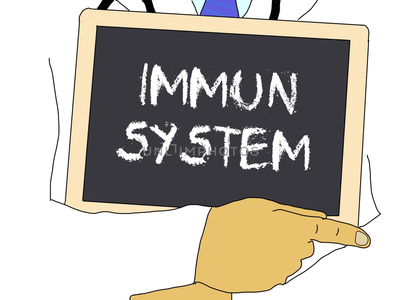 Illustration: Doctor shows information: immune system in german