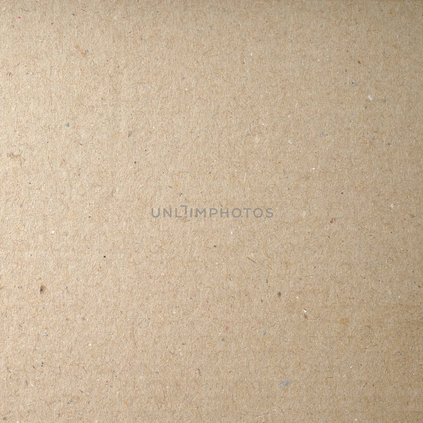 Cardboard Texture