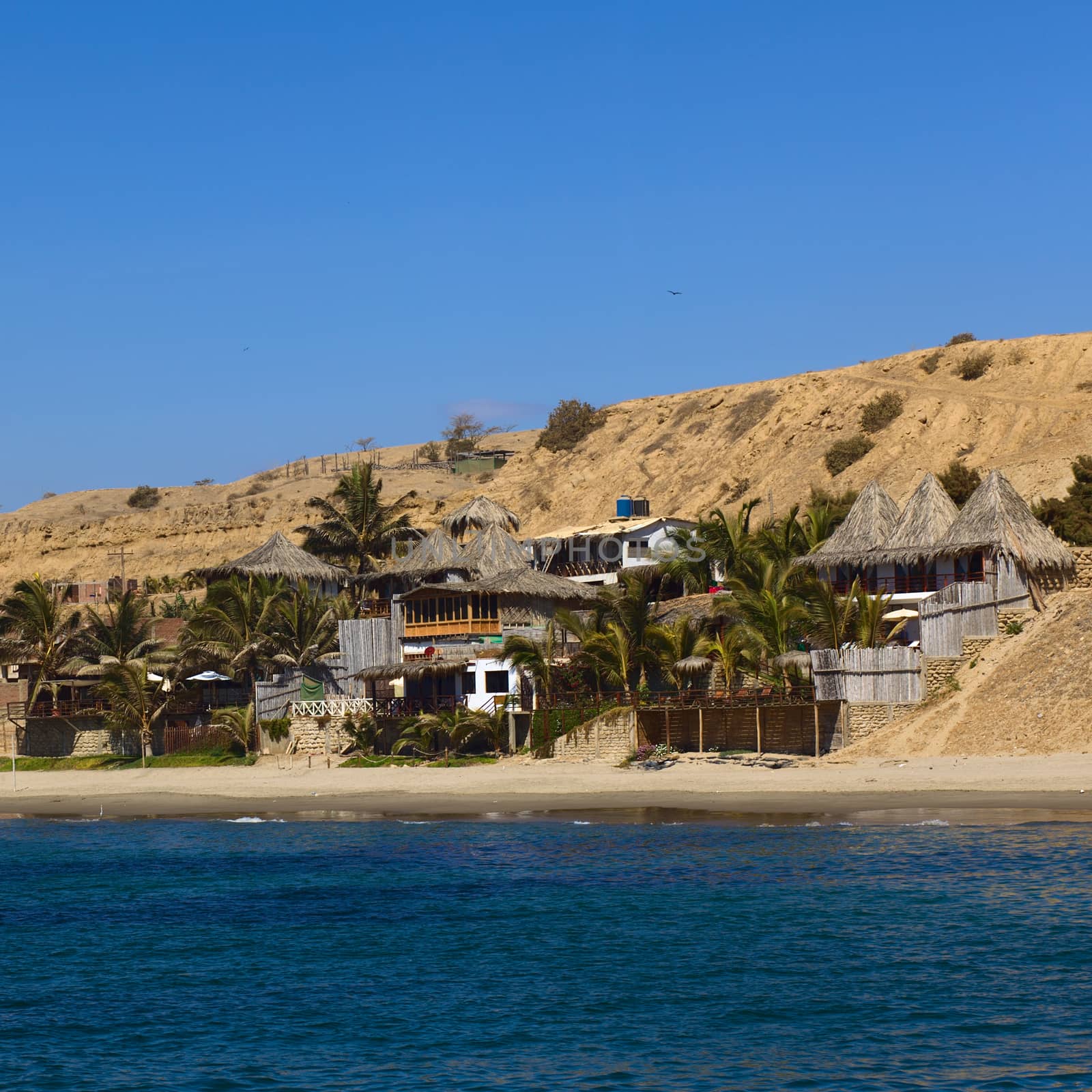 Thatched roof buildings and palm trees along the beach of the popular small beach town of Mancora in Northern Peru