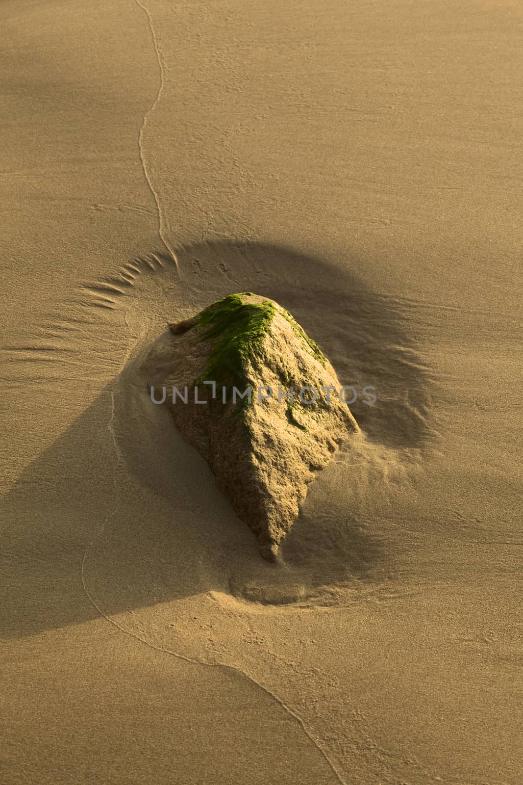 Small rock covered by some green algae on the sandy beach of the small town of Mancora in Northern Peru (Selective Focus, Focus on the rock)