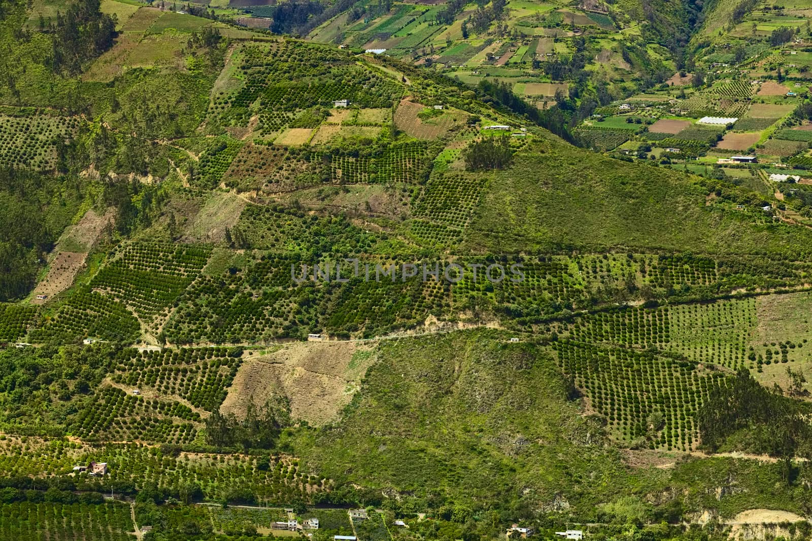 Rural hillside landscape with small farms and orchards along the road between Ambato and Banos in Tungurahua Province in Central Ecuador. Even though the area lies relatively high (around 1800-2000 meters), many fruits and vegetables are being grown here.