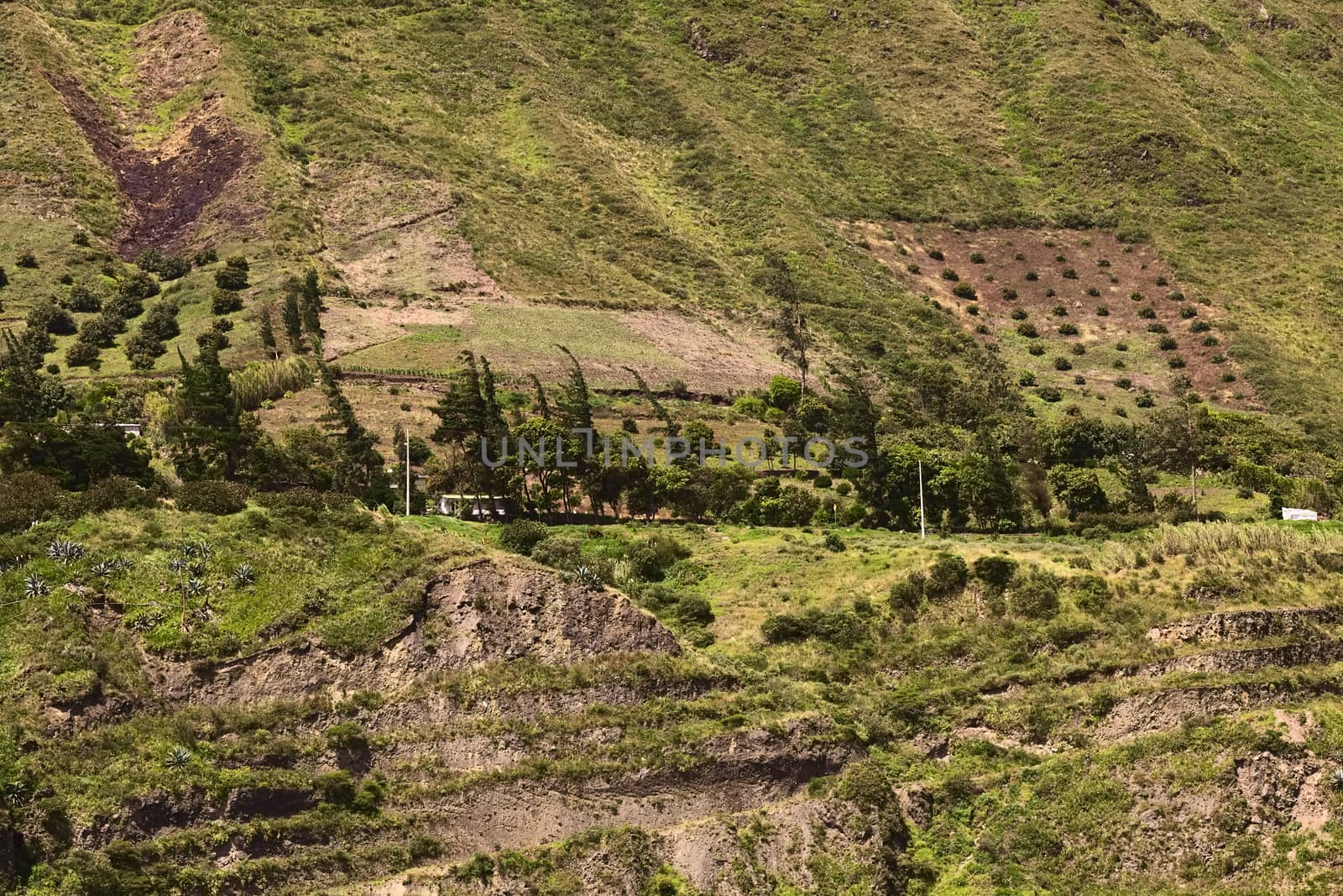 Rural hillside landscape with buildings, scrubs and trees along the road between Ambato and Banos in Tungurahua Province in Central Ecuador