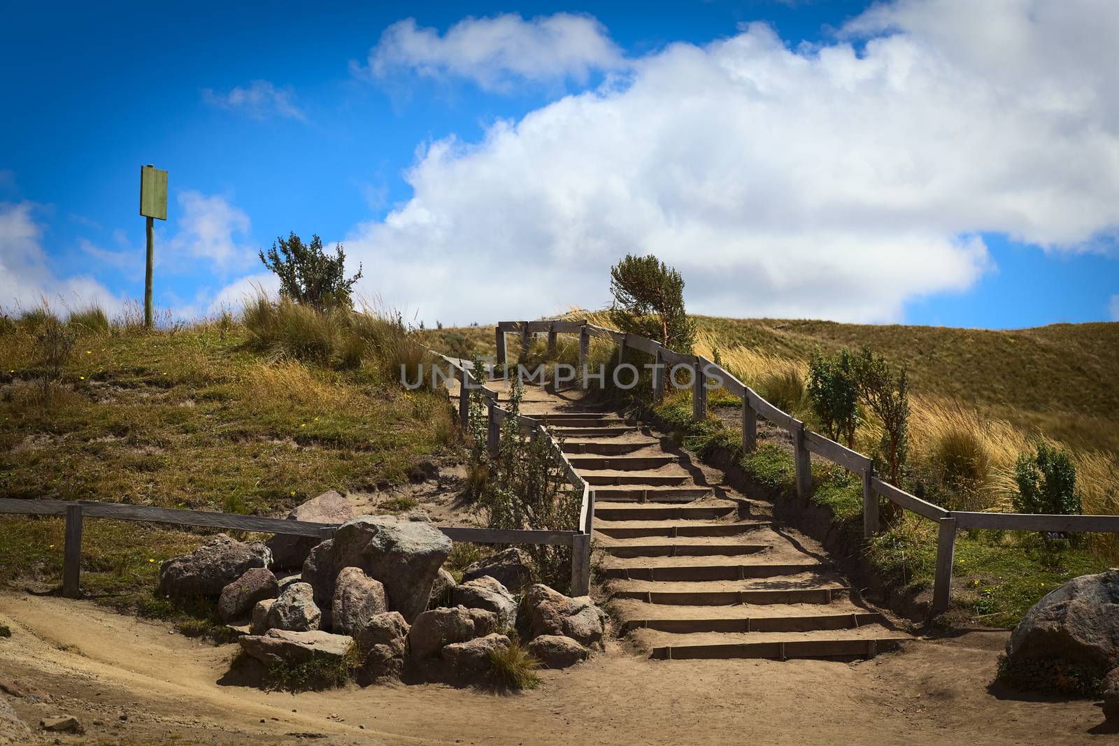 Stairs made of wood and soil leading uphill with paramo vegetation on the side on a sunny day