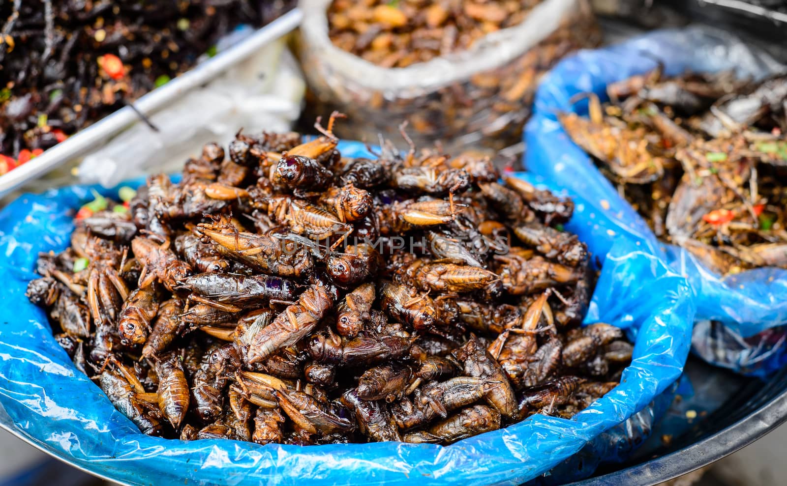 Insects food at Cambodia by Komngui