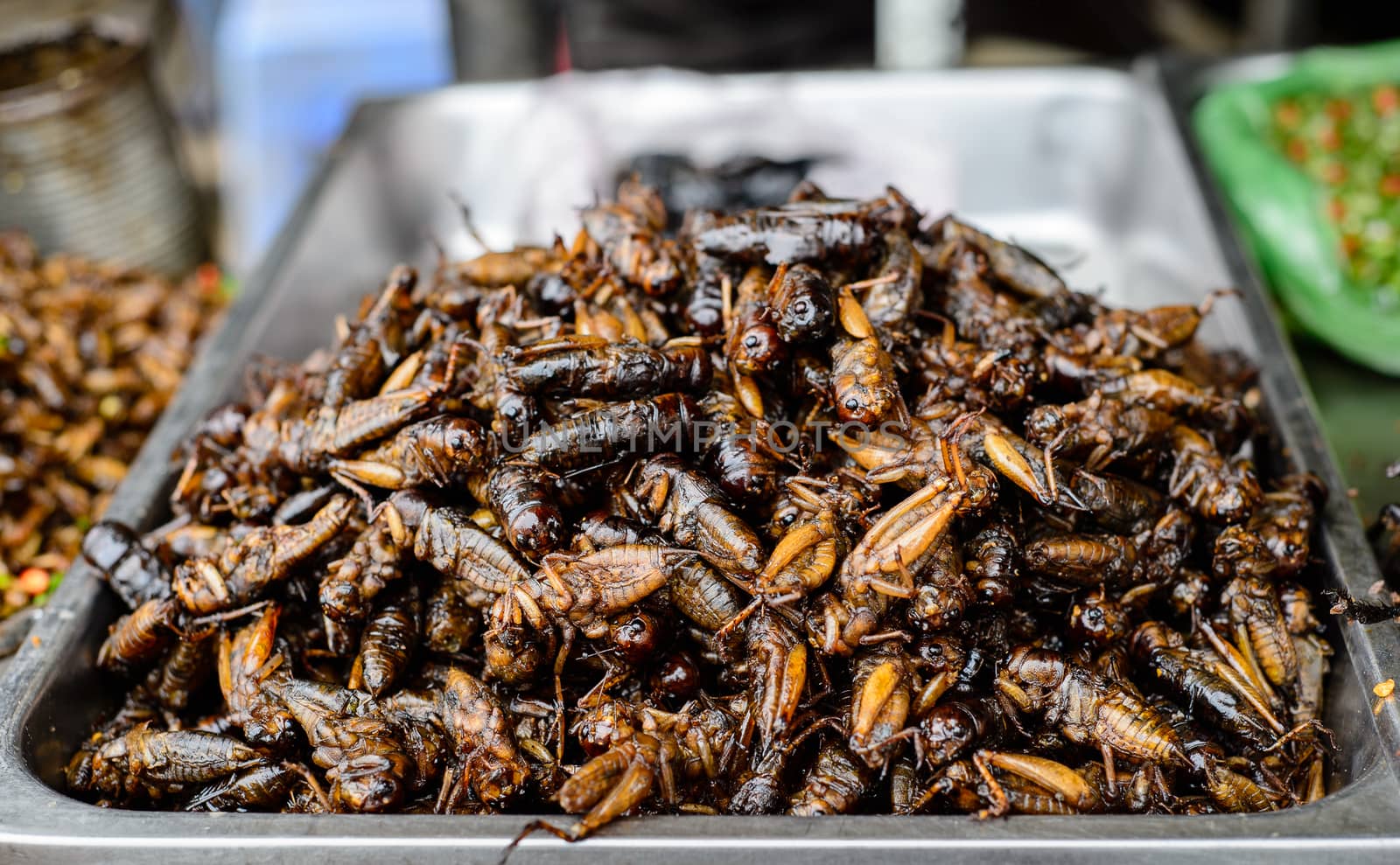 Fried edible insects on tray have been sold at Kampong Thom market, Cambodia, September 1st 2014. Fried crickets is a kind of insects food & is favorite dish of Khmer







Fried edible insects on tray have been sold at Kampong Thom market, Cambodia, September 1st 2014. Fried crickets is a kind of insects food &amp;amp; is favorite dish of Khmer







Kampong Thom province, Cambodia, September 1st 2014: Fried crickets - a kind of insects food which were sold at Kampong Thom market