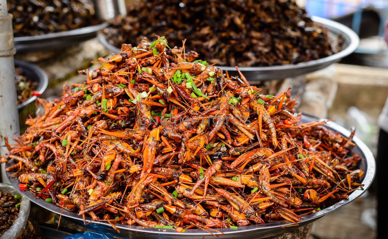 Fried Locusts & Fried Grasshoppers - a kind of insects food which were sold at Kampong Thom market, Cambodia in September 2014