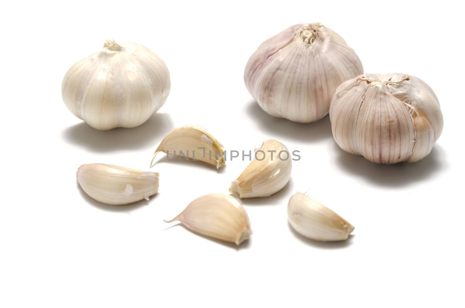 fresh garlic by ammza12