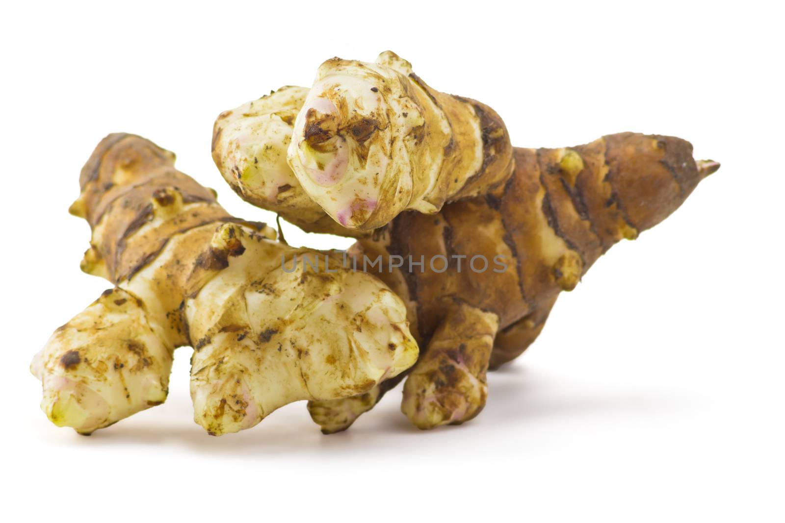 The root of Jerusalem artichoke on a white background