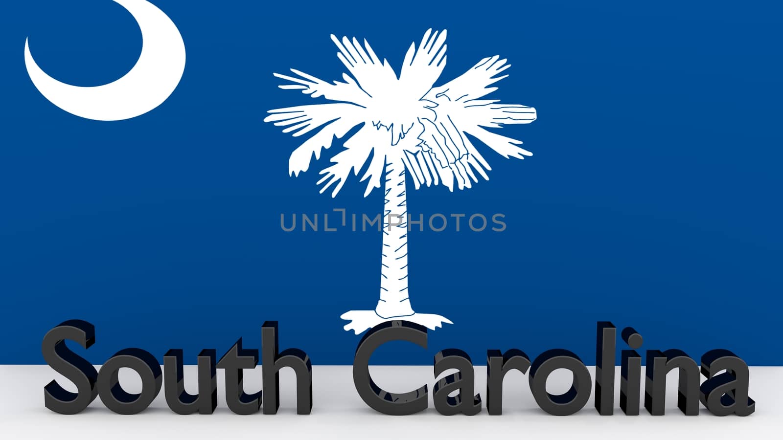 US state South Carolina, metal name in front of flag by MarkDw