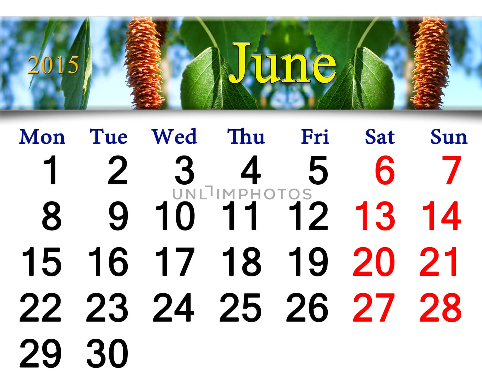 calendar for June of 2015 year with image of birch's leaves by alexmak