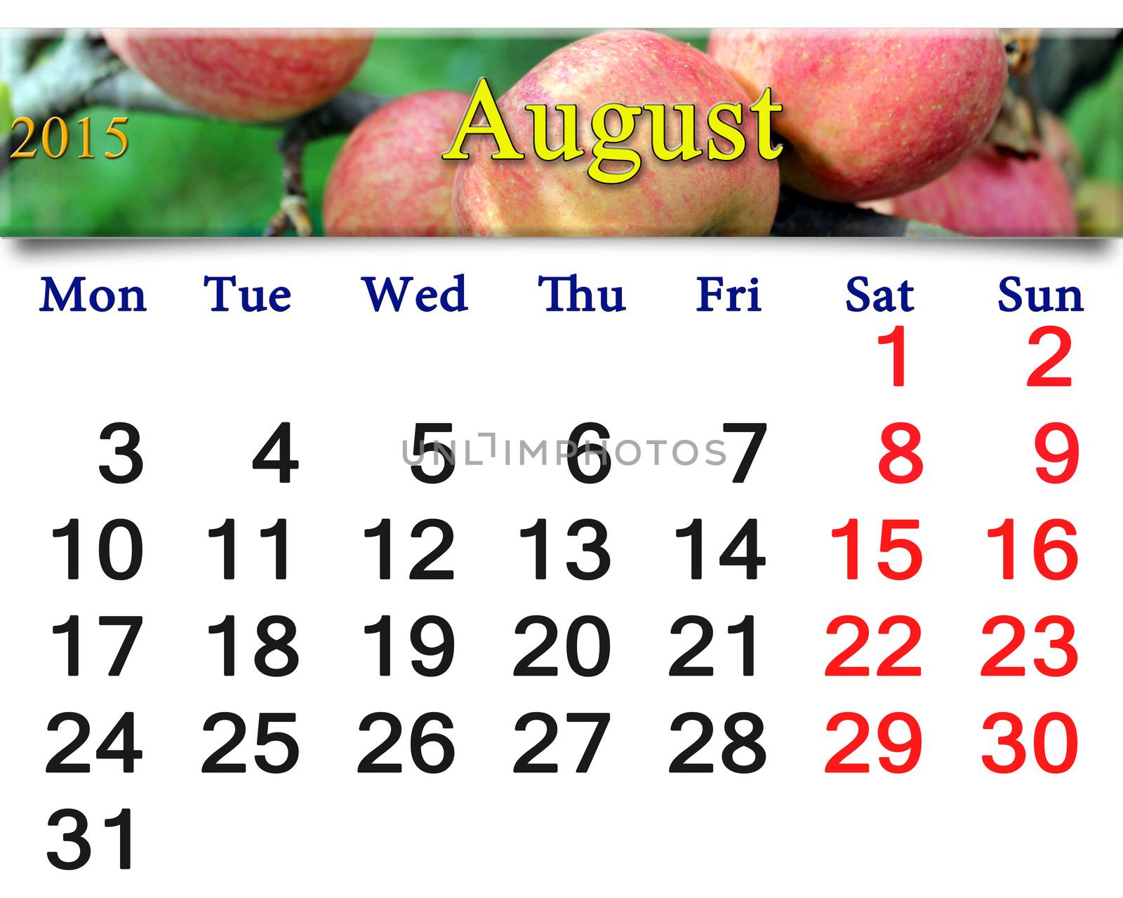 calendar for the August of 2015 year with apples by alexmak