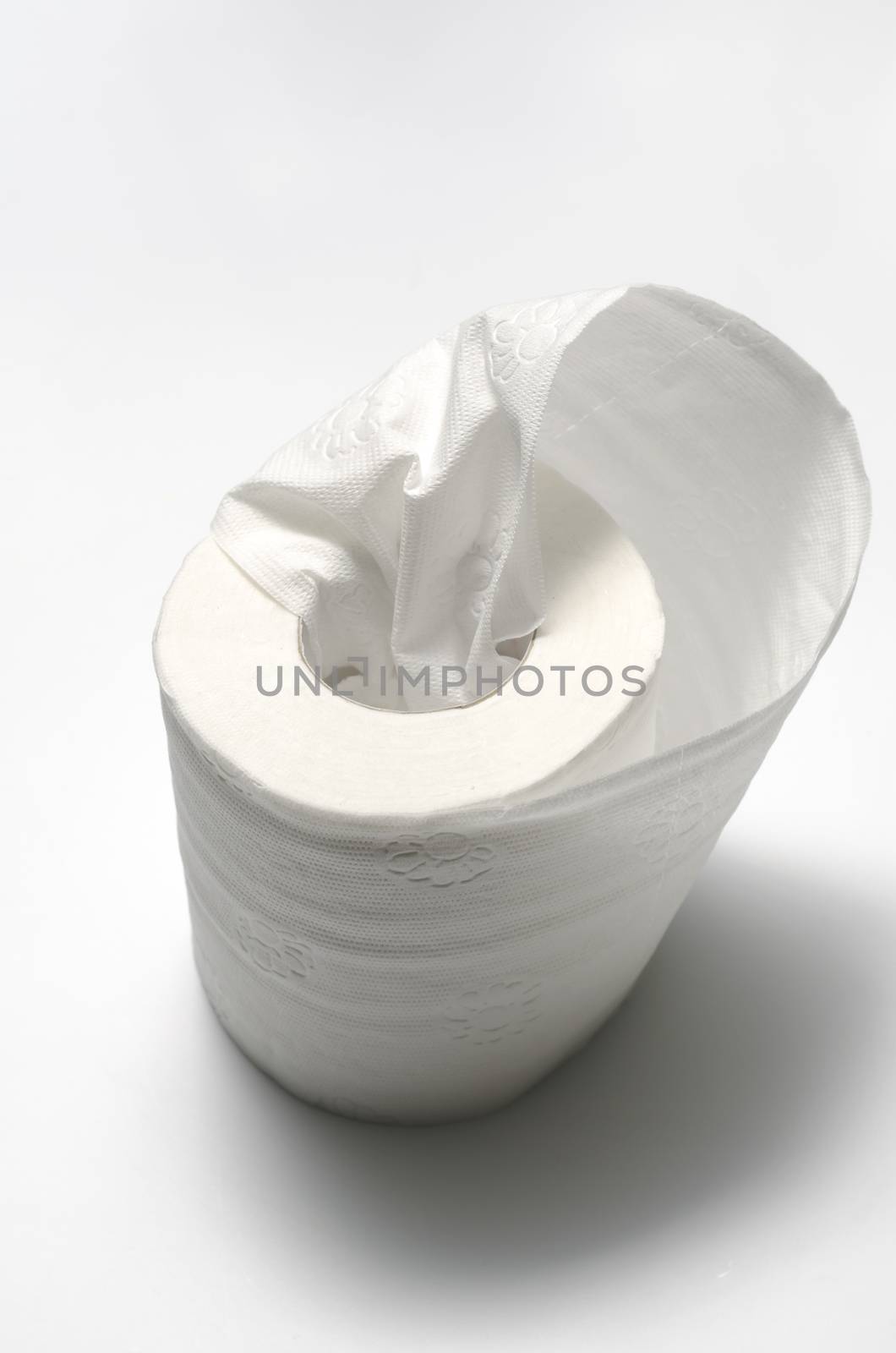 tissue on a white background