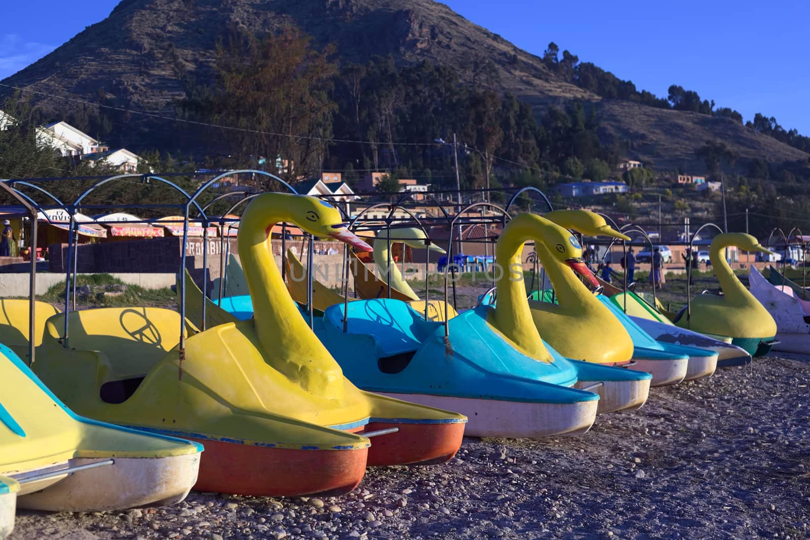 COPACABANA, BOLIVIA - OCTOBER 17, 2014: Many swan shaped pedal boats lit by the setting sun on the shore of Lake Titicaca in the small tourist town on October 17, 2014 in Copacabana, Bolivia. Many pedal boats and kayaks are available for rent along the coastline of Copacabana. 