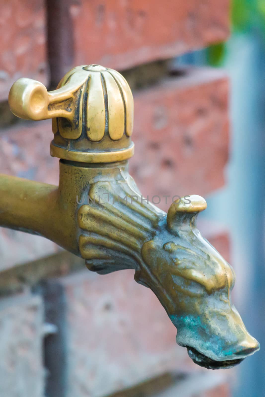 bronze fountain shaped like a dog's head