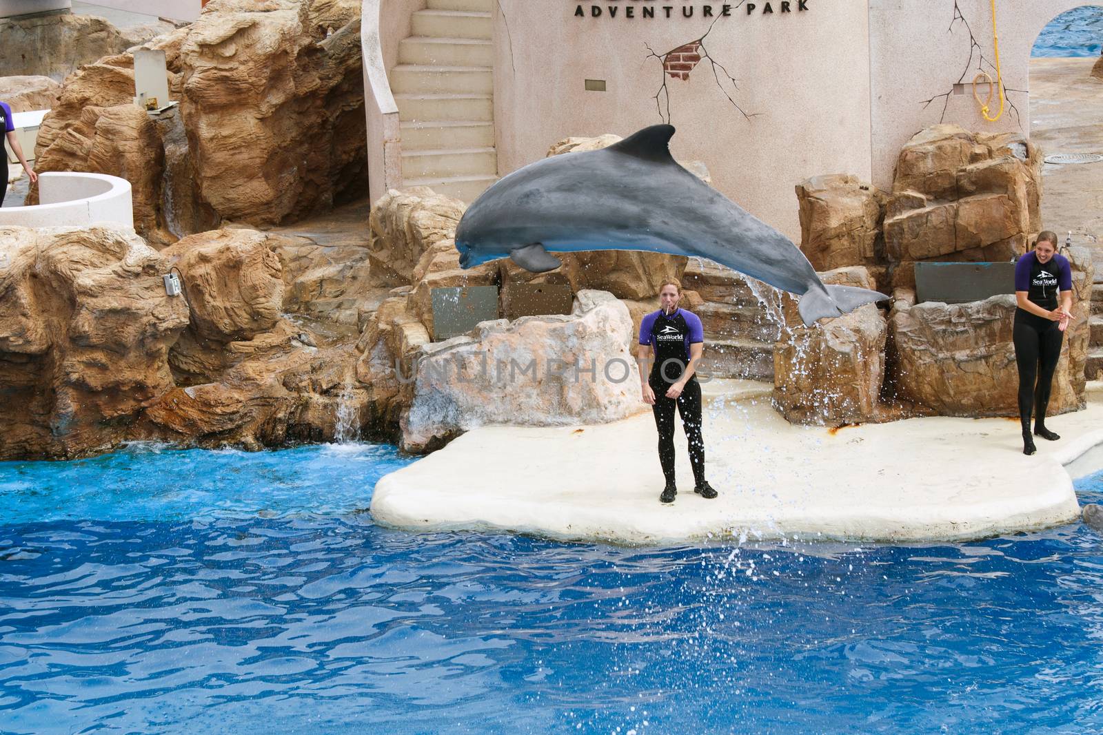 SAN DIEGO, CALIFORNIA, USA - JUNE 3, 2009: There is a representation. Dolphin Show. The dolphins who has jumped out of water. Sea World