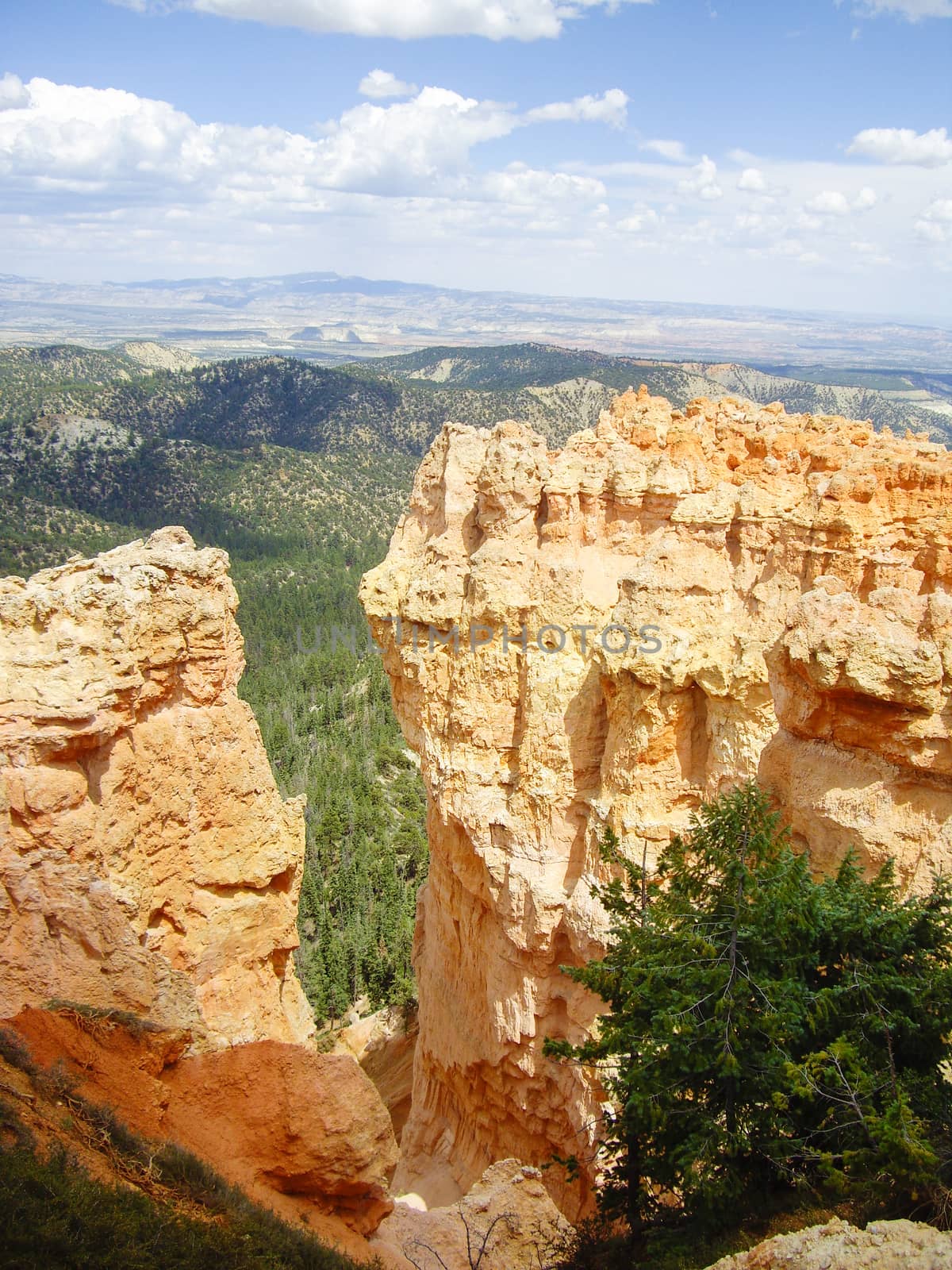 Pillars of rock at Bryce Canyon by emattil