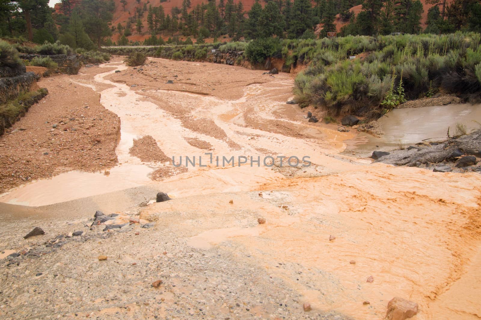 Summer storms cause flash flood at Red Canyon Utah USA