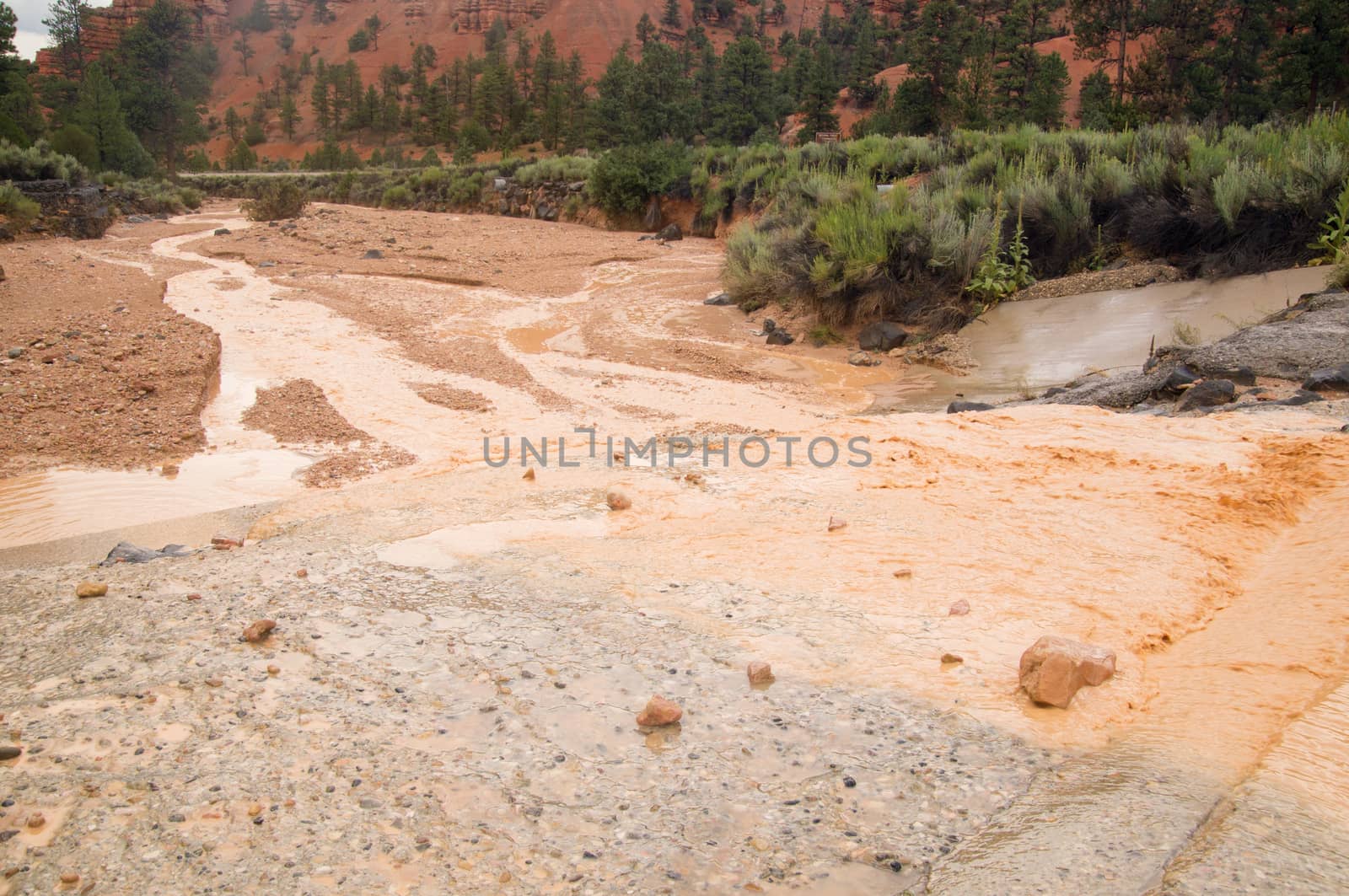 Muddy water from flash flood in Utah desert by emattil
