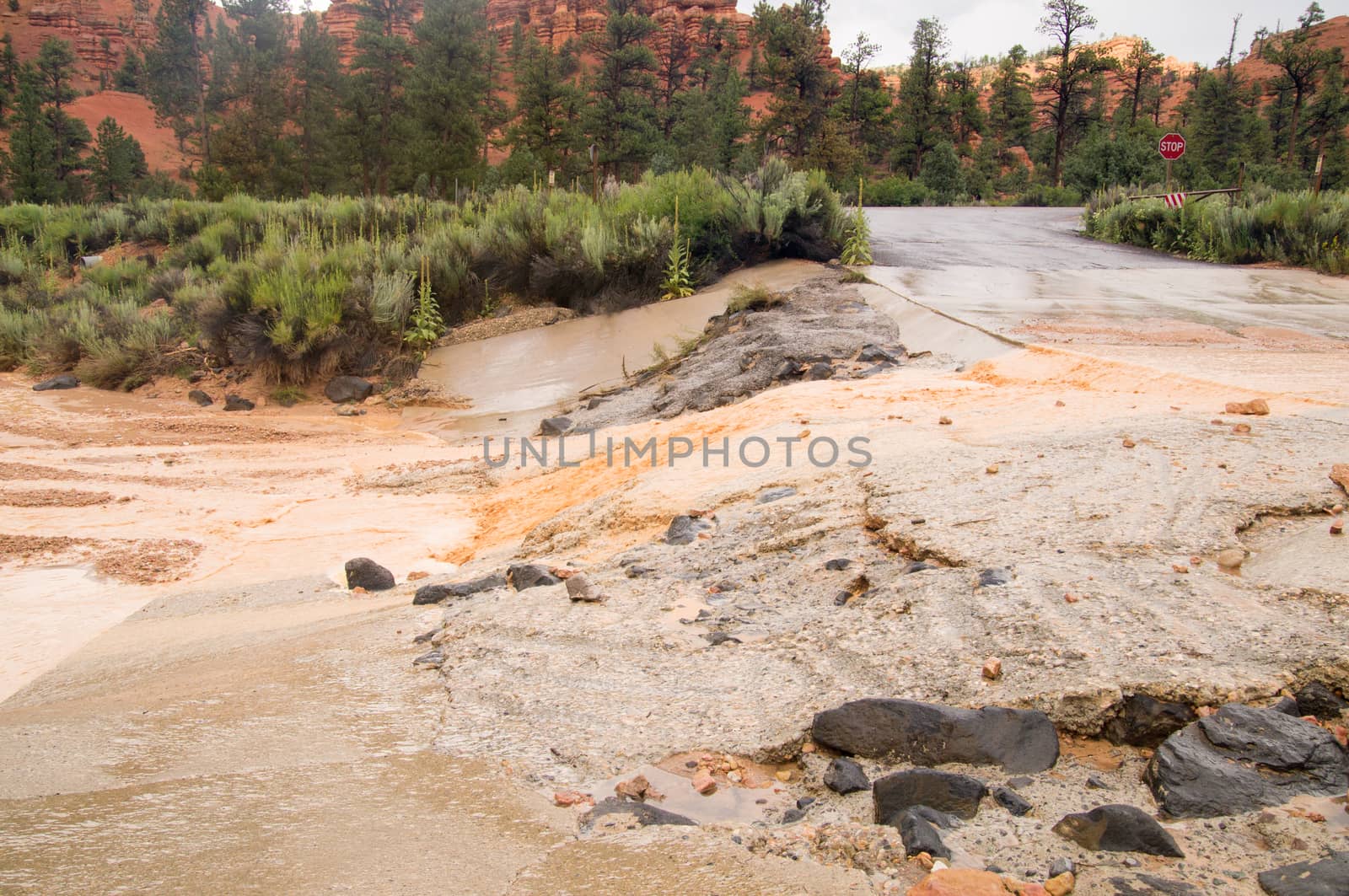 Summer storm flash floods at Red Canyon Utah by emattil