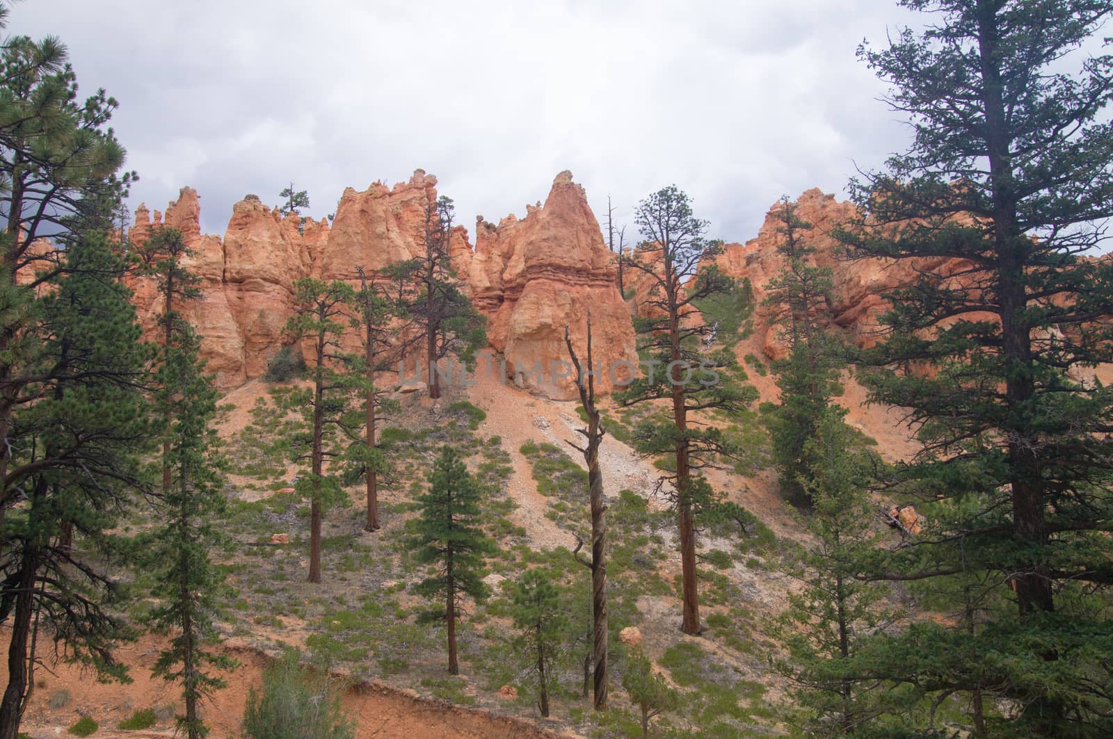 Overcast sky at Bryce Canyon by emattil