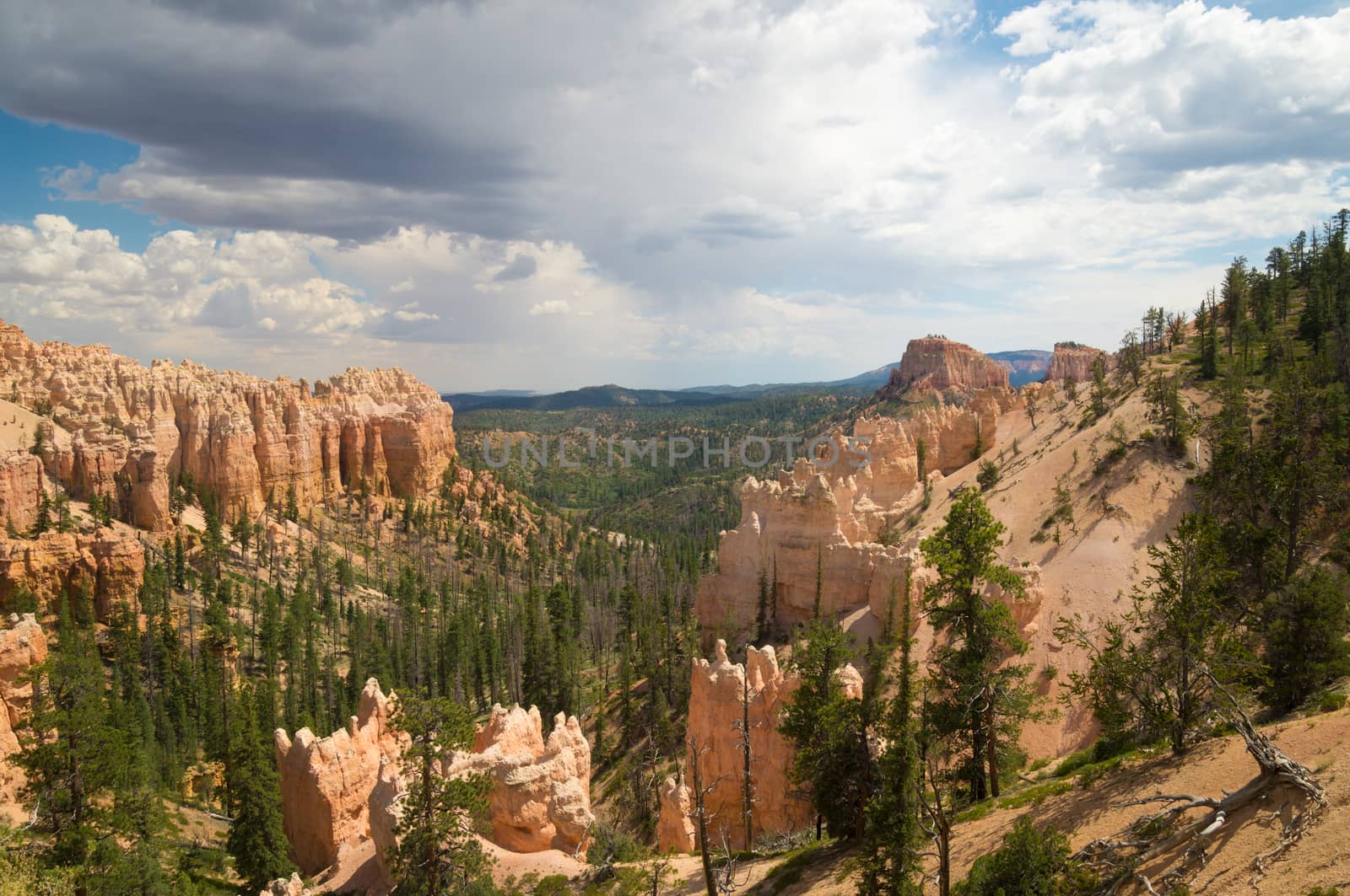 Rain clouds over Bryce Canyon by emattil