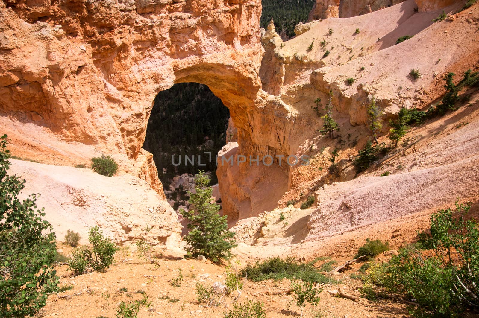 Sandstone Arch of Bryce Canyon by emattil