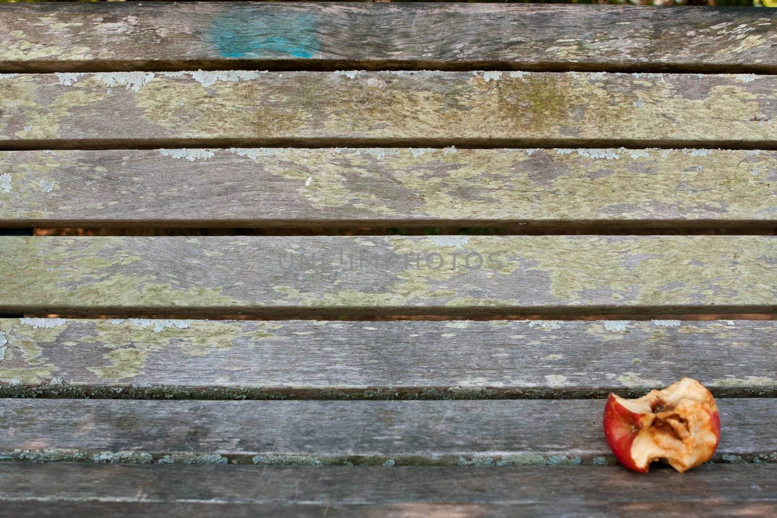 Eaten Apple Core Sits On Empty Park Bench by BluIz60