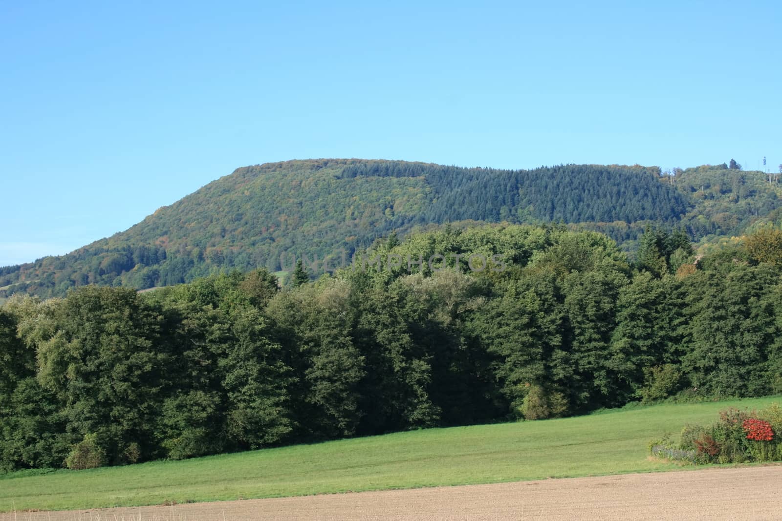 Mountains with forested mountain 