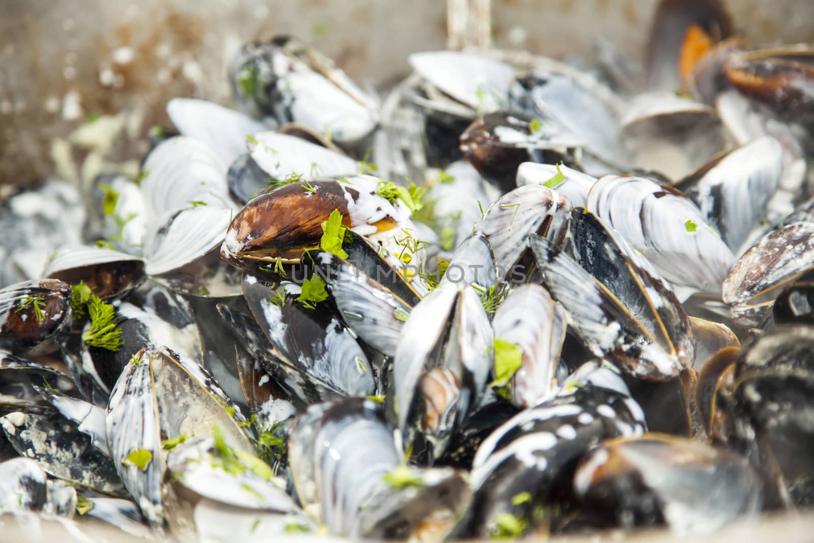 Mussels n white wine closeup