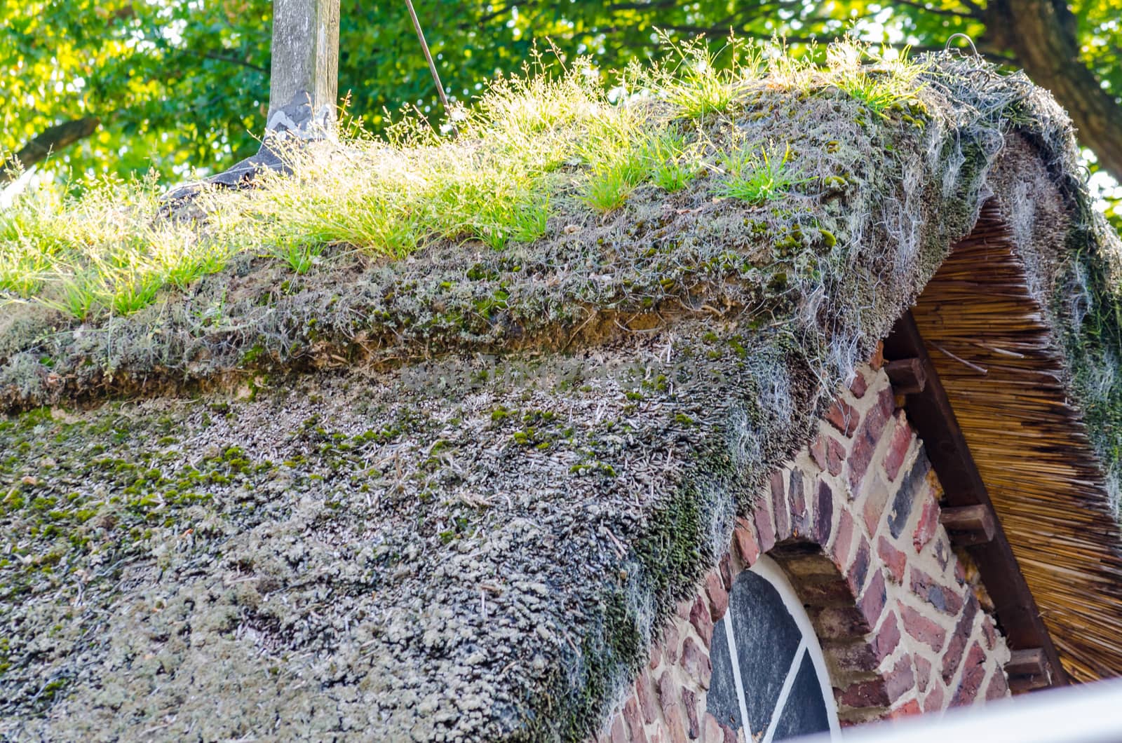 Thatched roof, gable by JFsPic