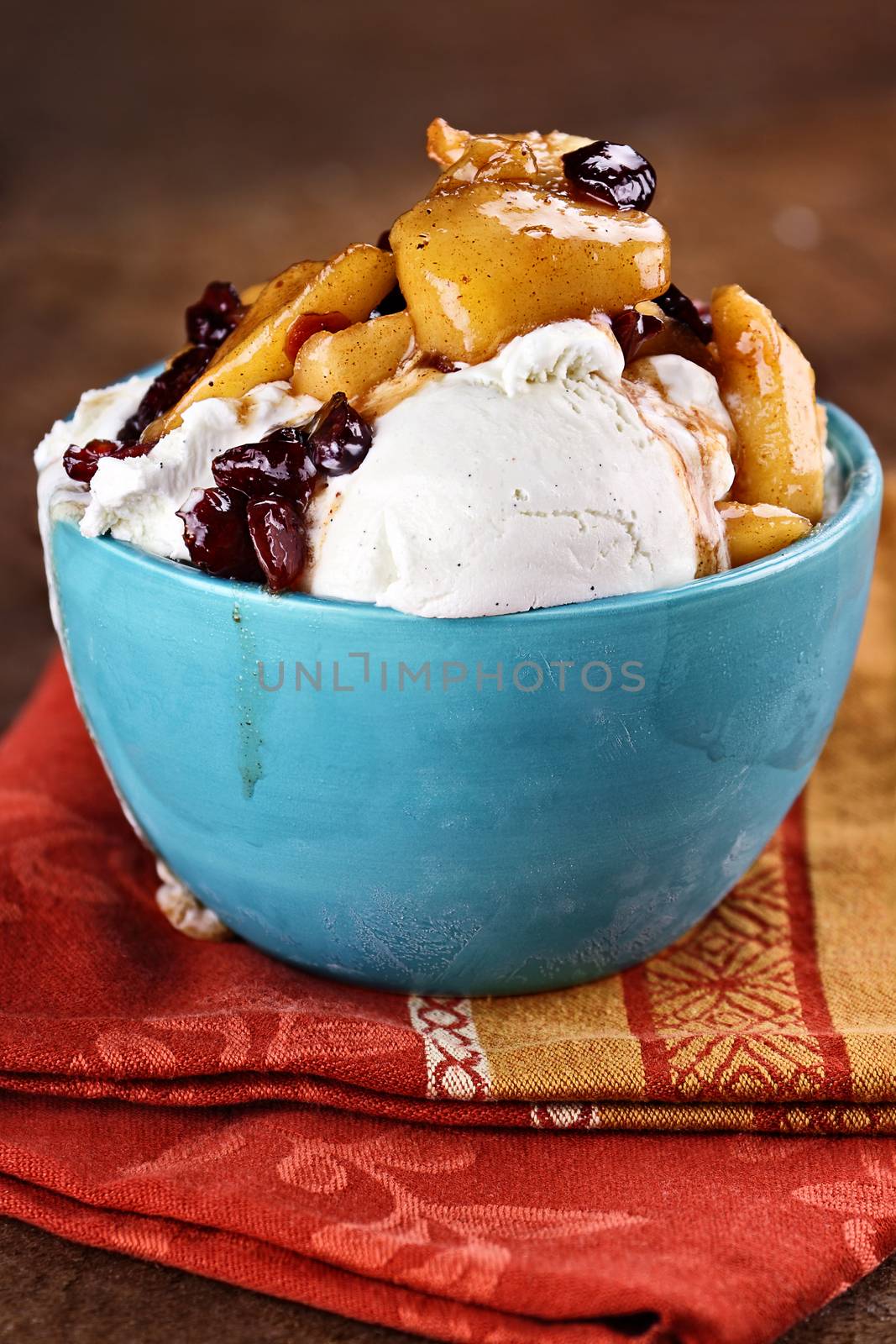Bowl of rich creamy vanilla ice cream topped with an apple and cranberry sauce with extreme shallow depth of field. Perfect dessert for autumn!