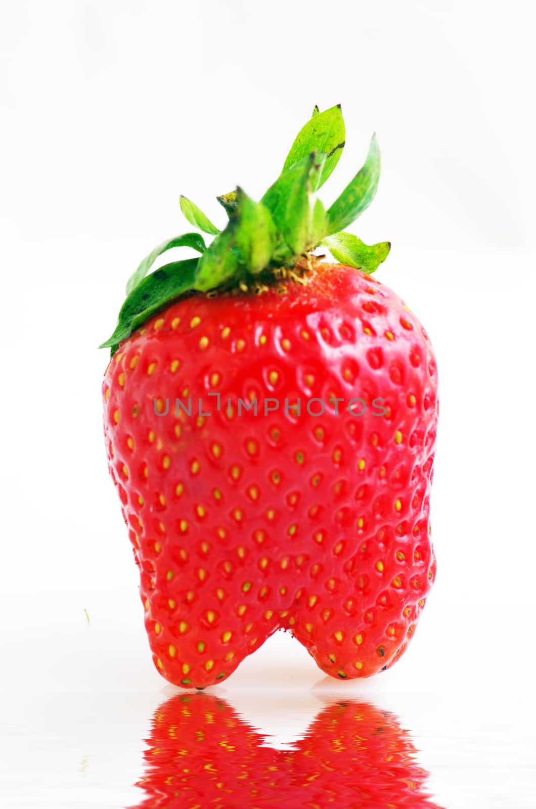 Healthy red strawberry fruit  isolated on the white background  by dolnikow