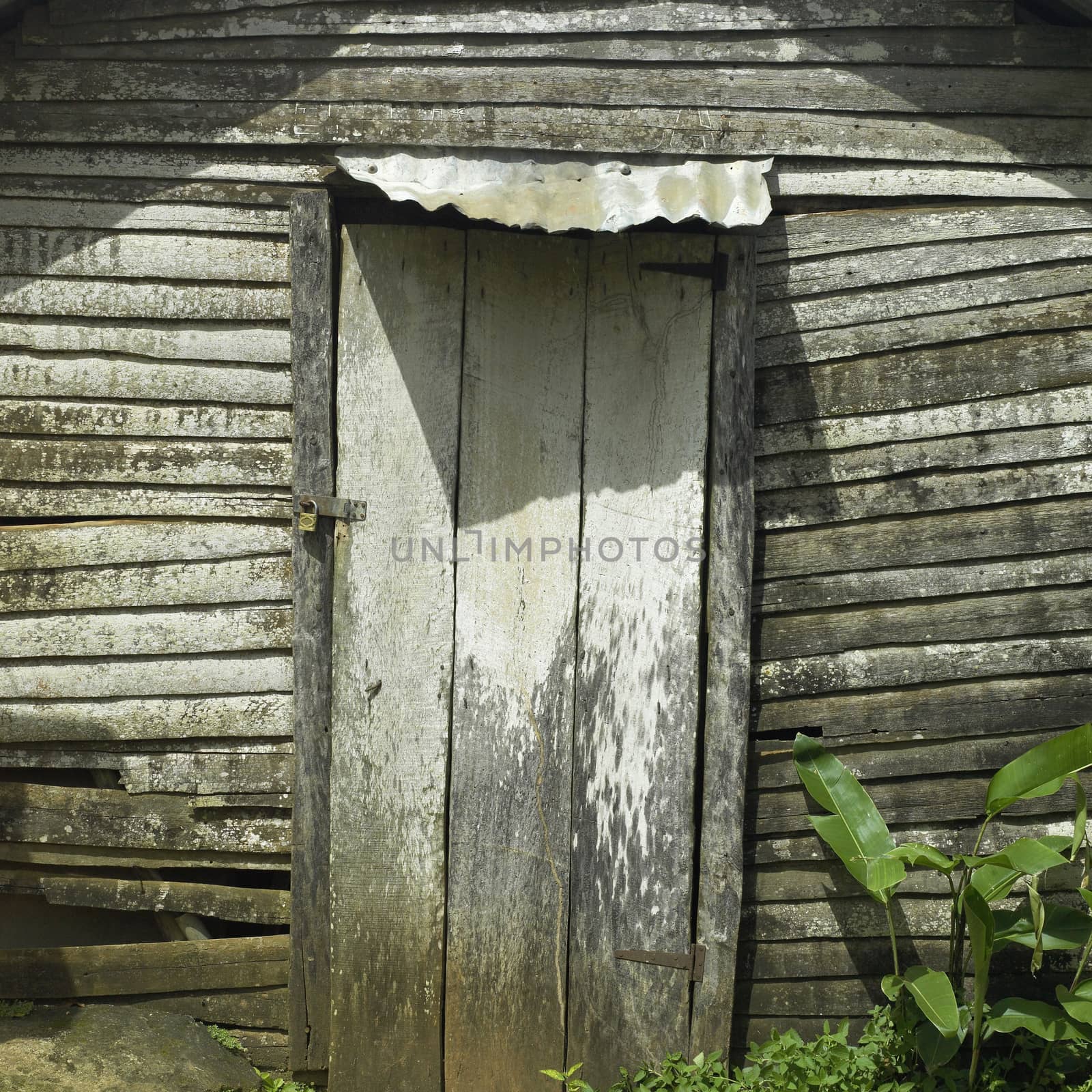 Old shack door by mmm