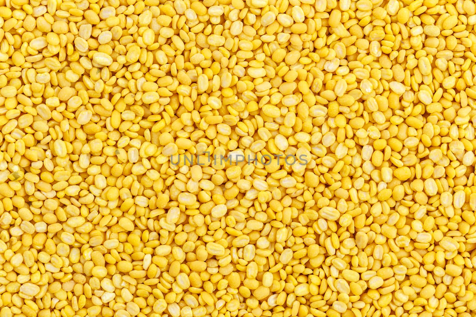 Close up soybean for background