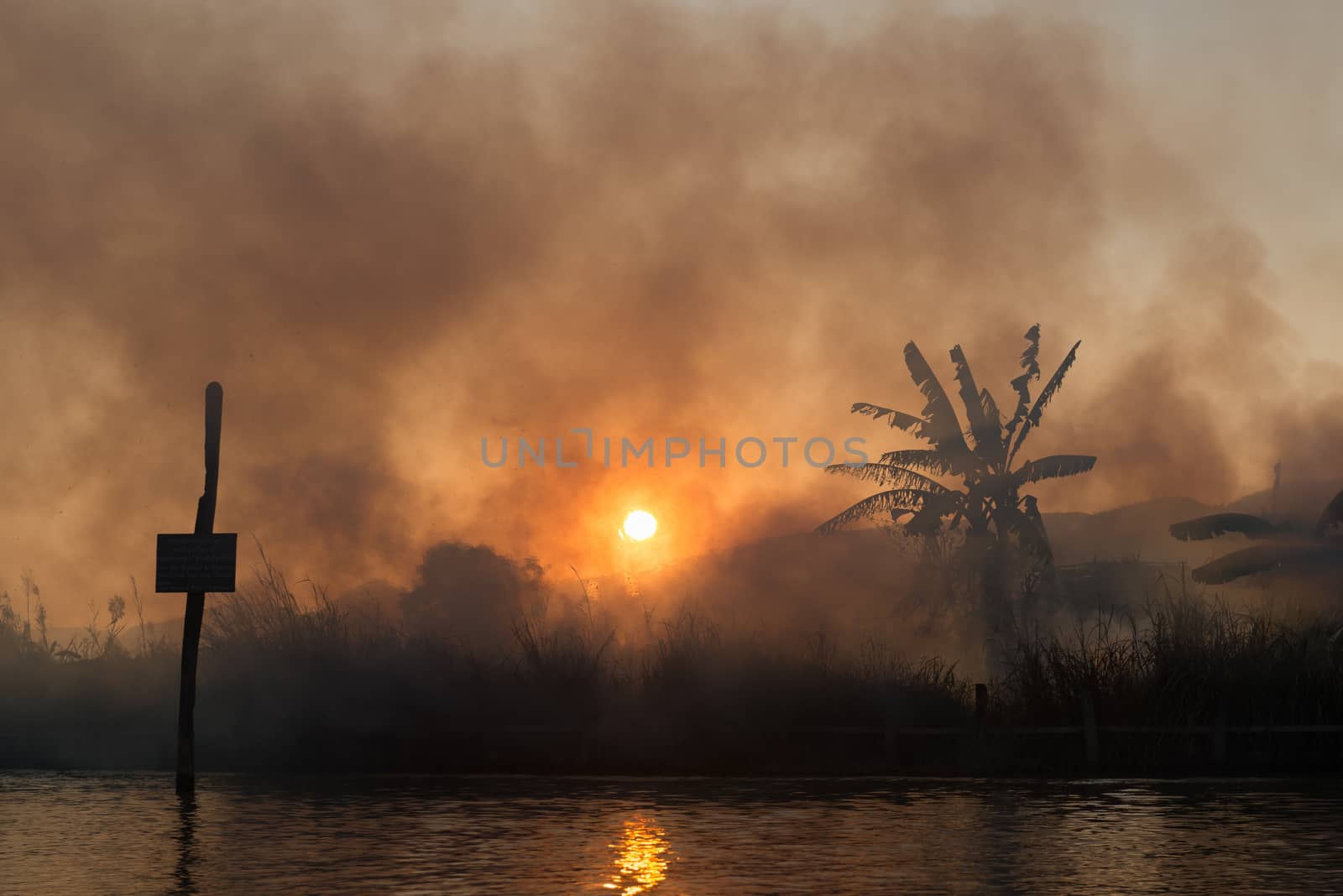 Fire and smoke on tropical fields by iryna_rasko