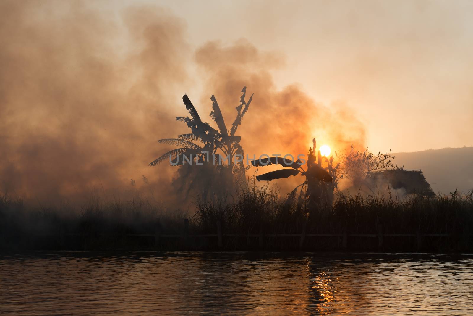 Fire and smoke on tropical fields by iryna_rasko