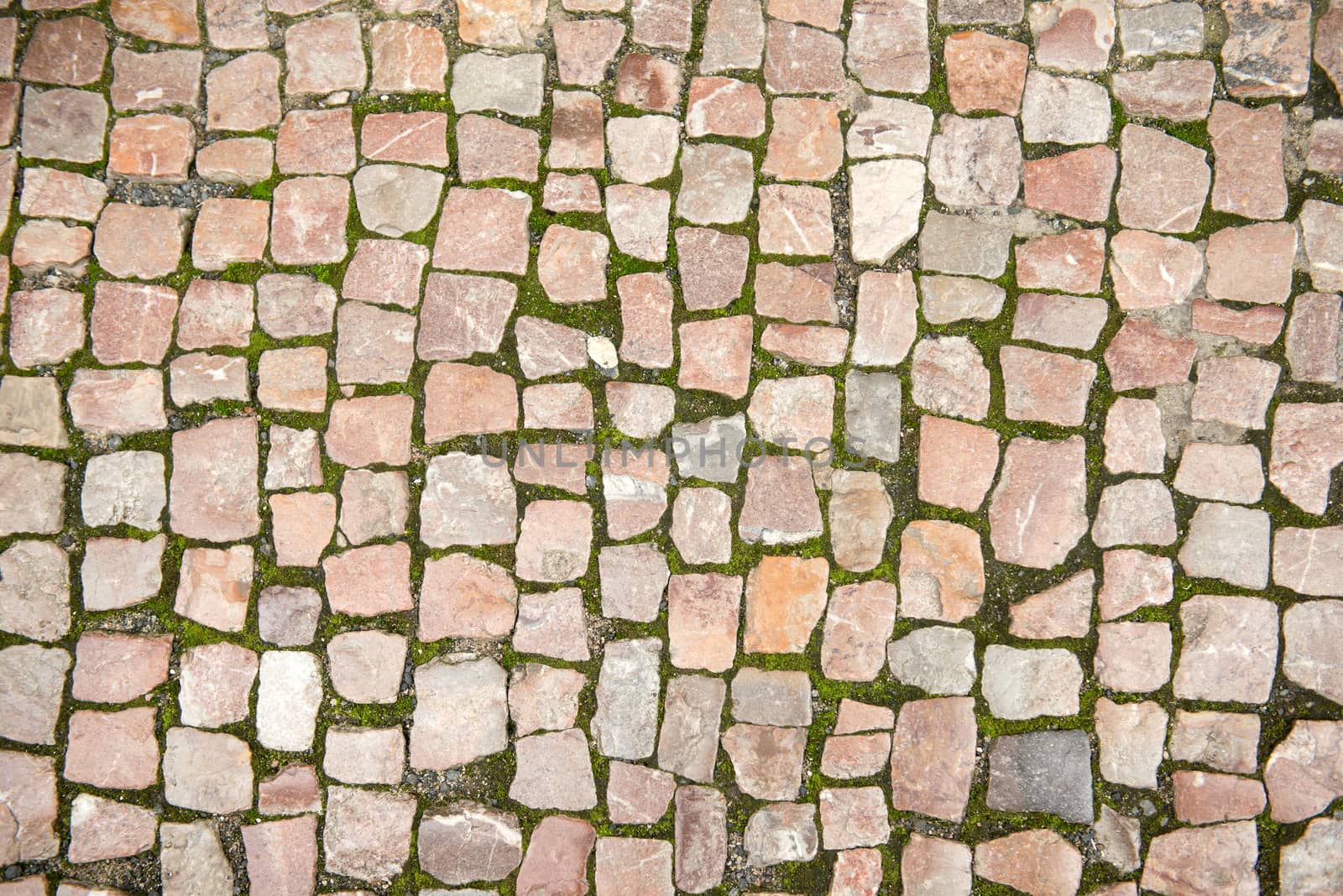 The road was paved with stone
