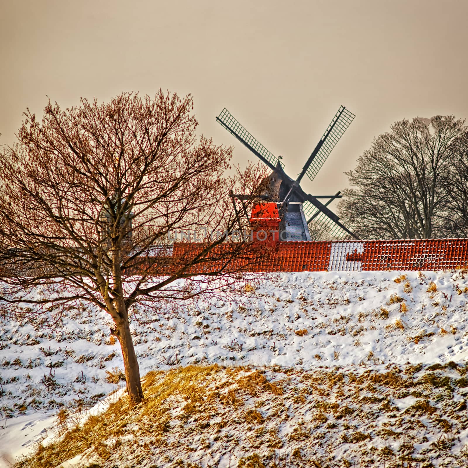 Windmill on the hill in winter