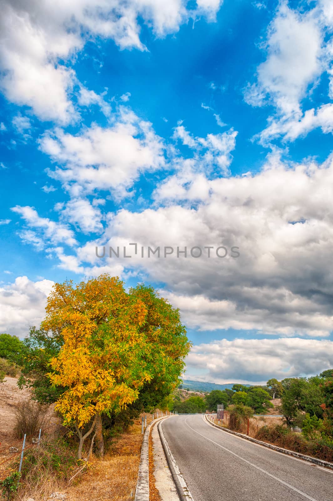 country road in an autumn afternoon with cloudy sky and trees