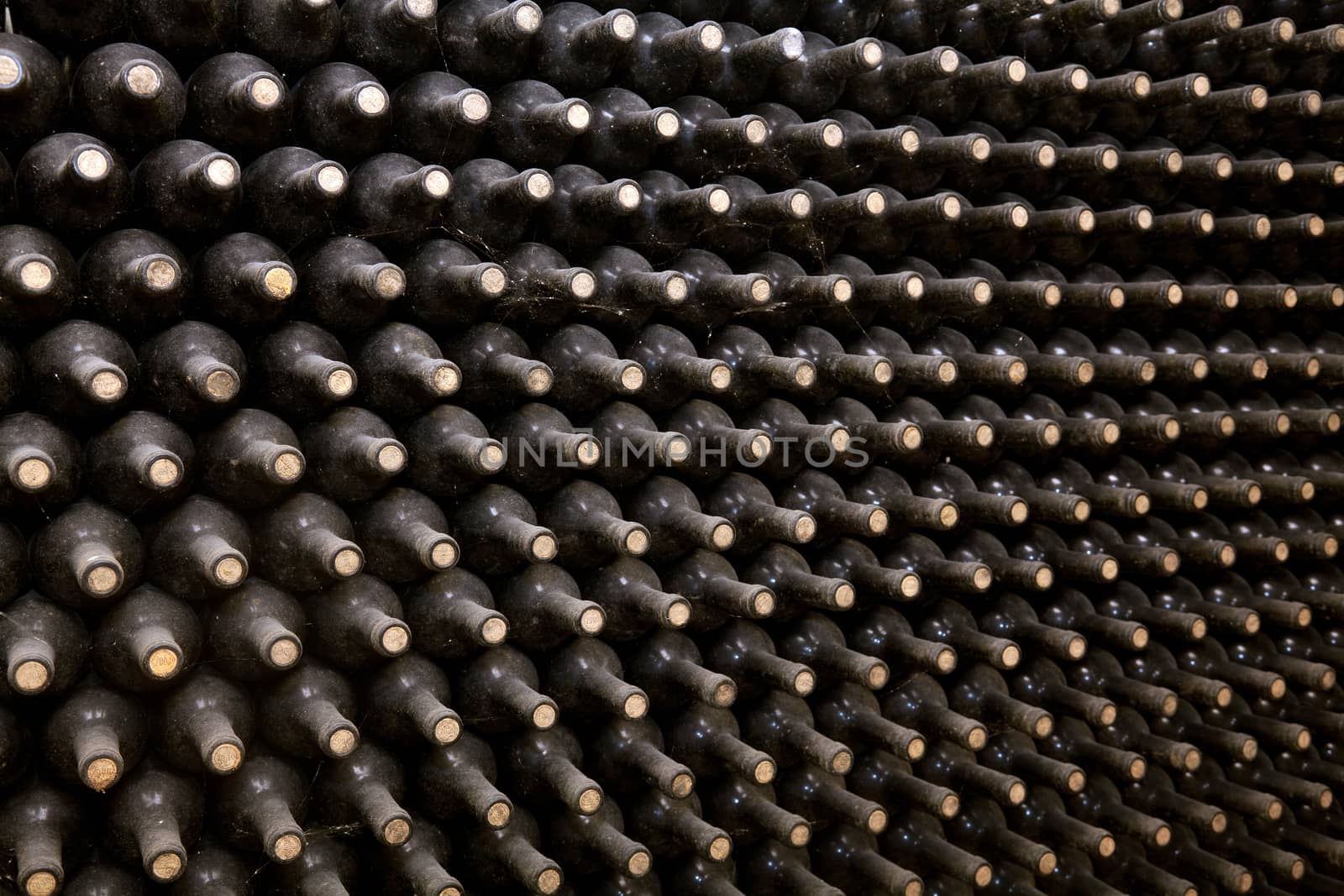 Old bottles of wine in rows in wine cellar.