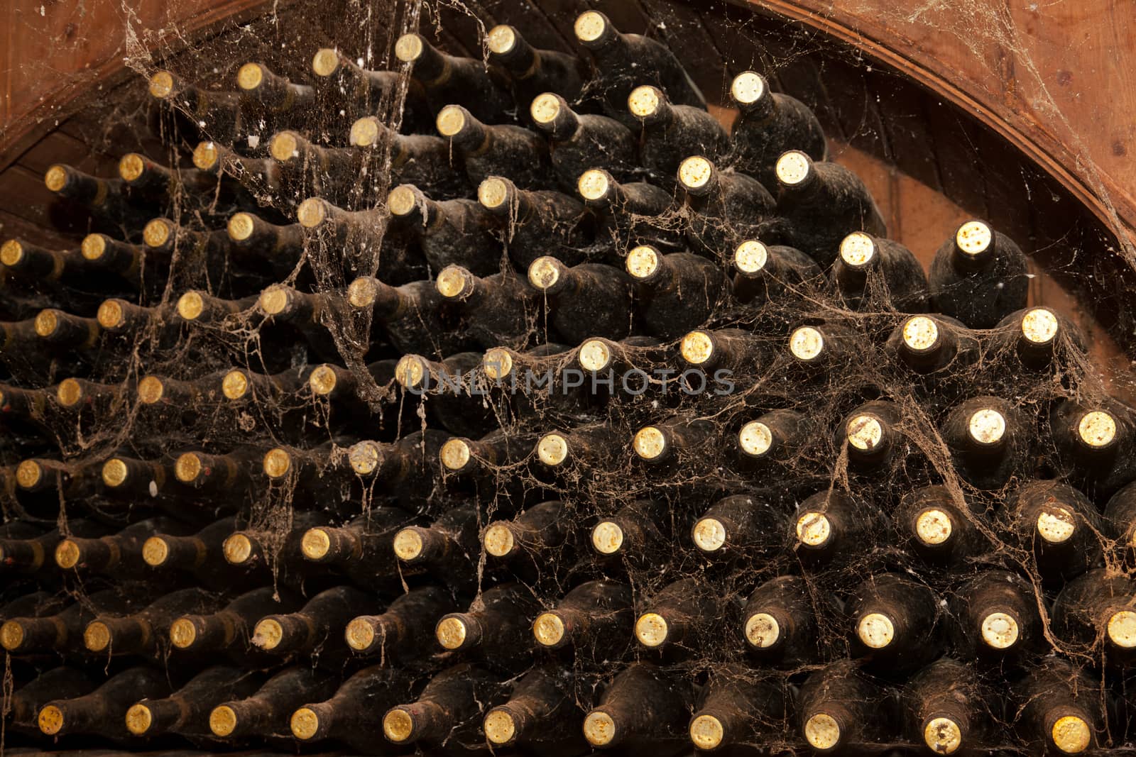 Old bottles of wine in rows in wine cellar.
