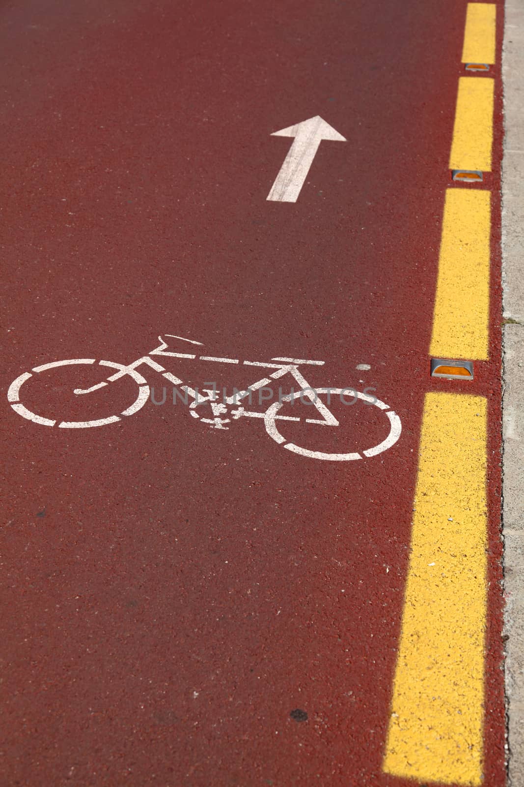 Bike lane. Sign for bicycle painted on the asphalt.