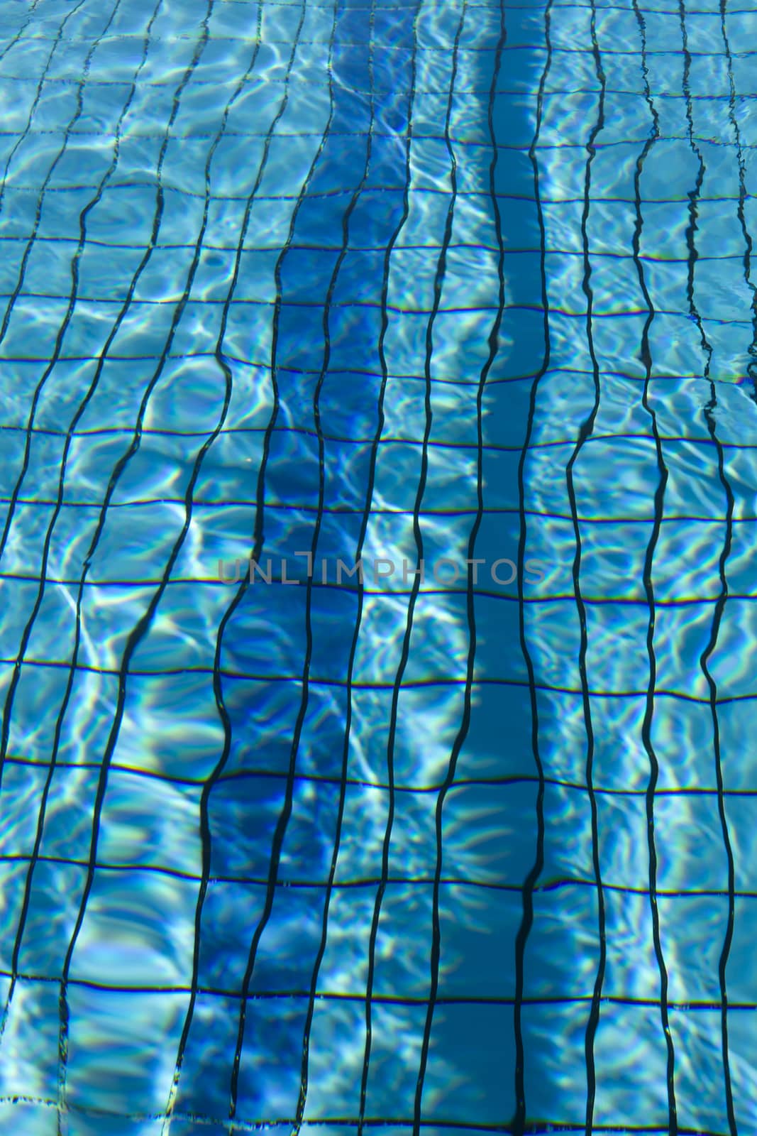 Swimming pool lanes in competition pool