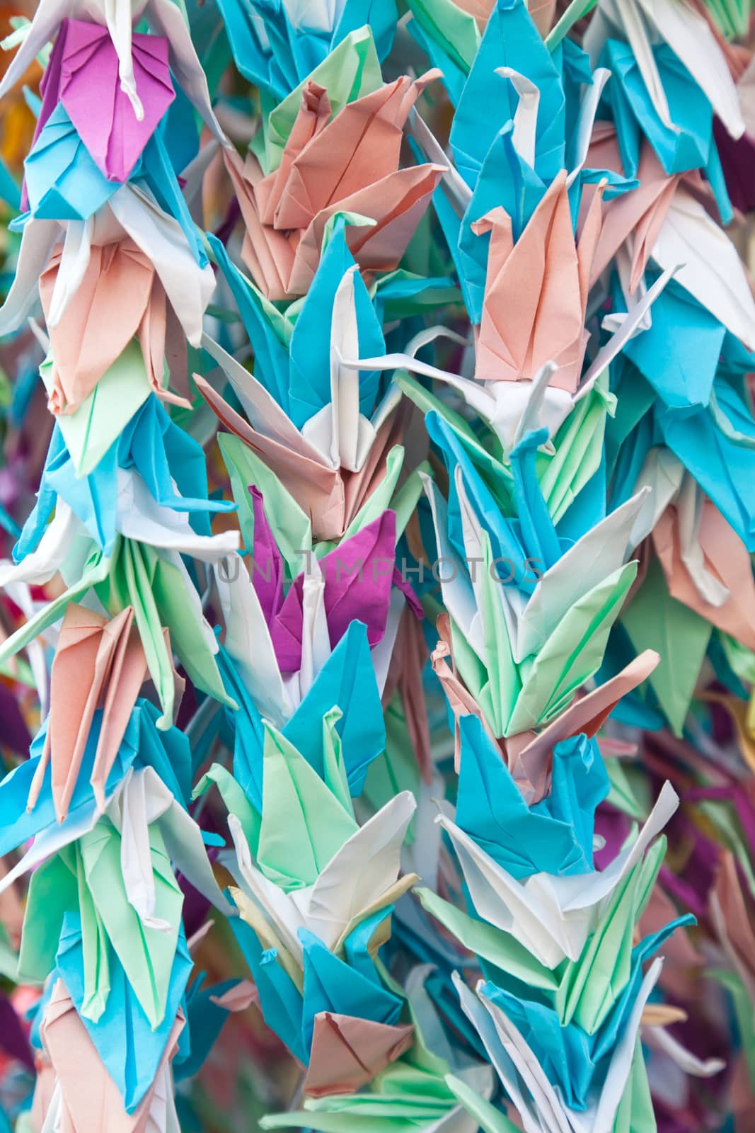 Origami star flower by Portokalis